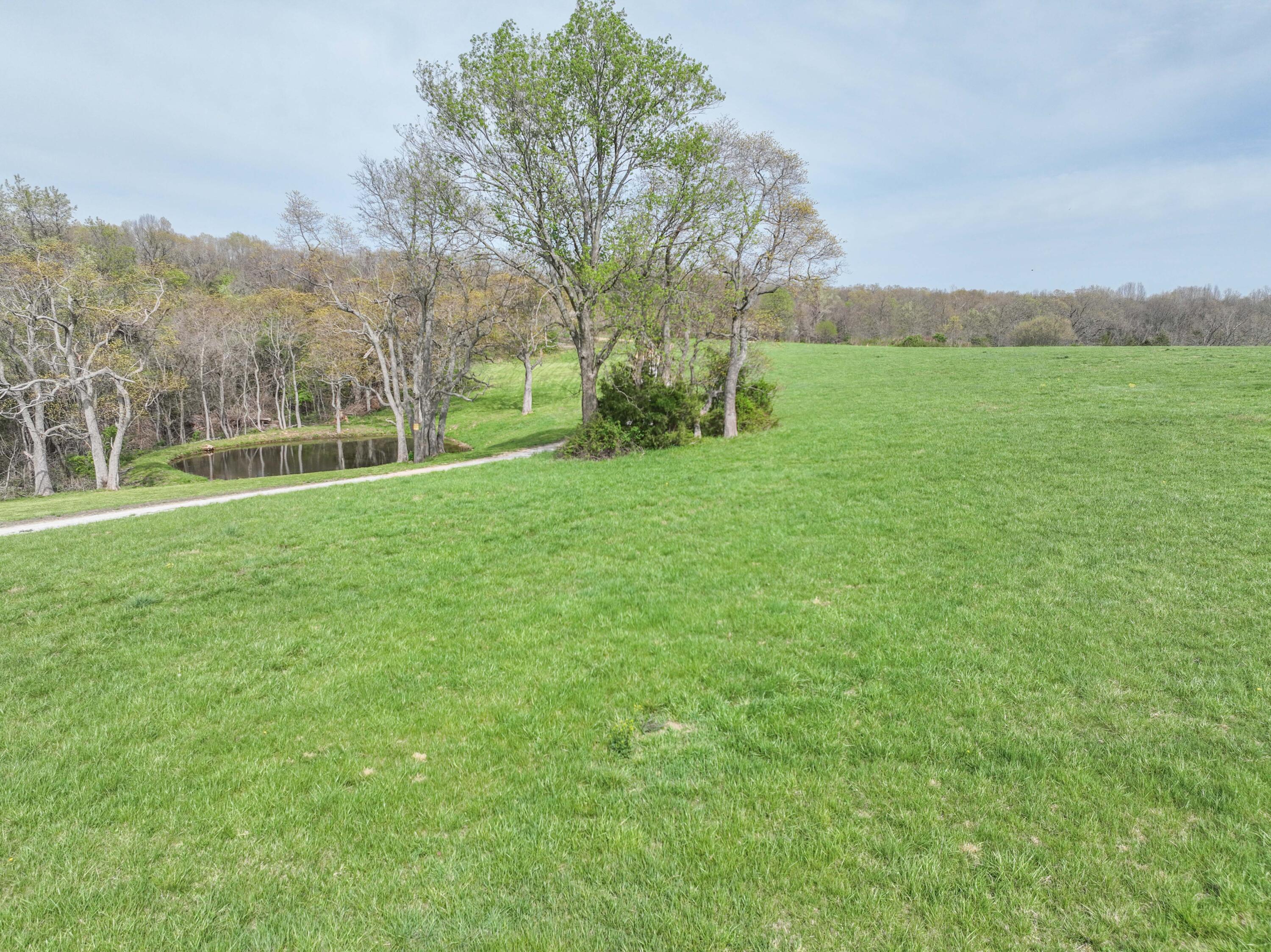 Photo 20 - Land for sale – 858  Kimberlin Mill Road   Clever, MO