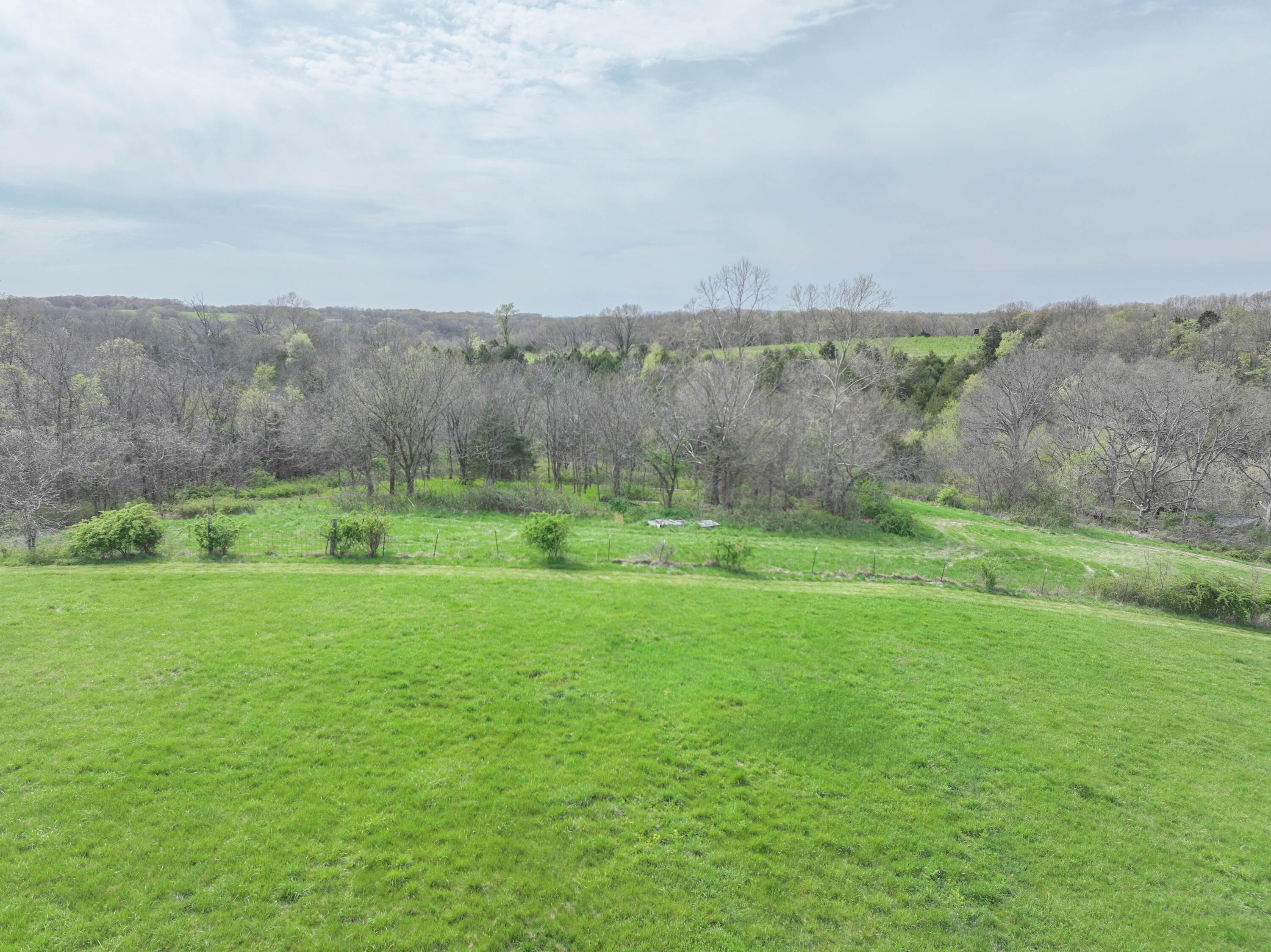 Photo 18 - Land for sale – 858  Kimberlin Mill Road   Clever, MO