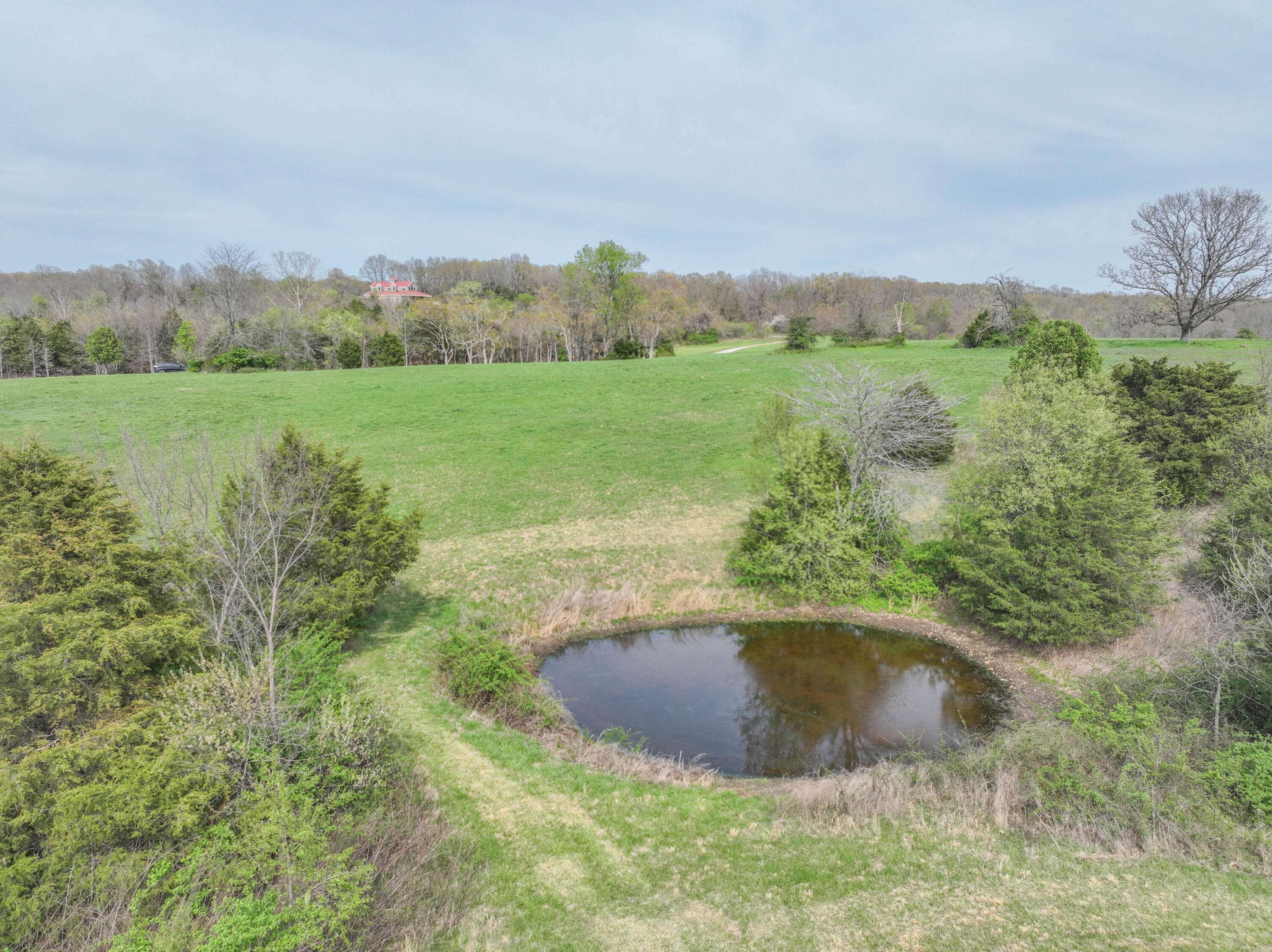 Photo 19 - Land for sale – 858  Kimberlin Mill Road   Clever, MO