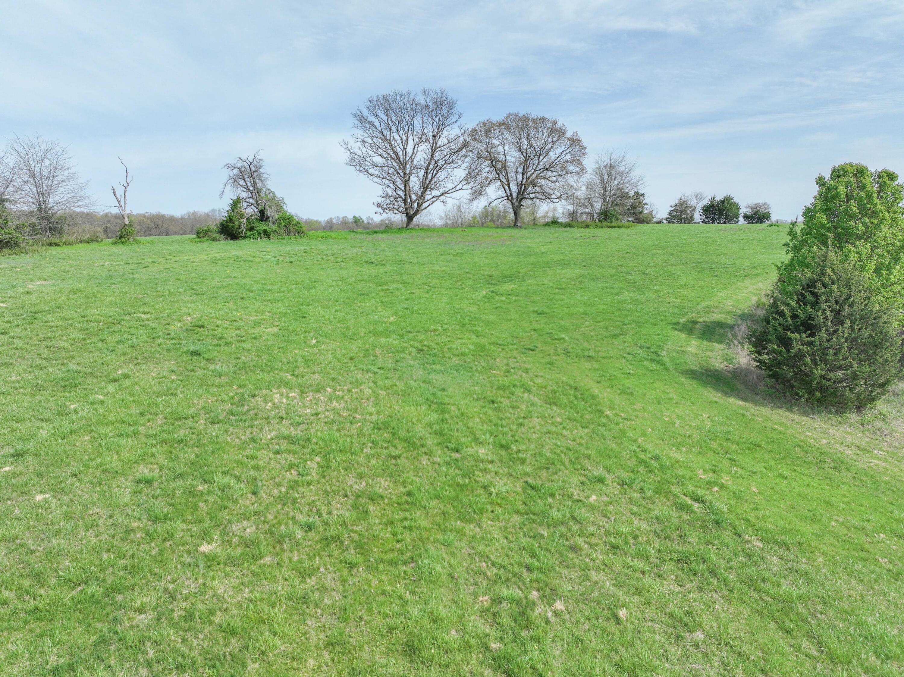 Photo 17 - Land for sale – 858  Kimberlin Mill Road   Clever, MO
