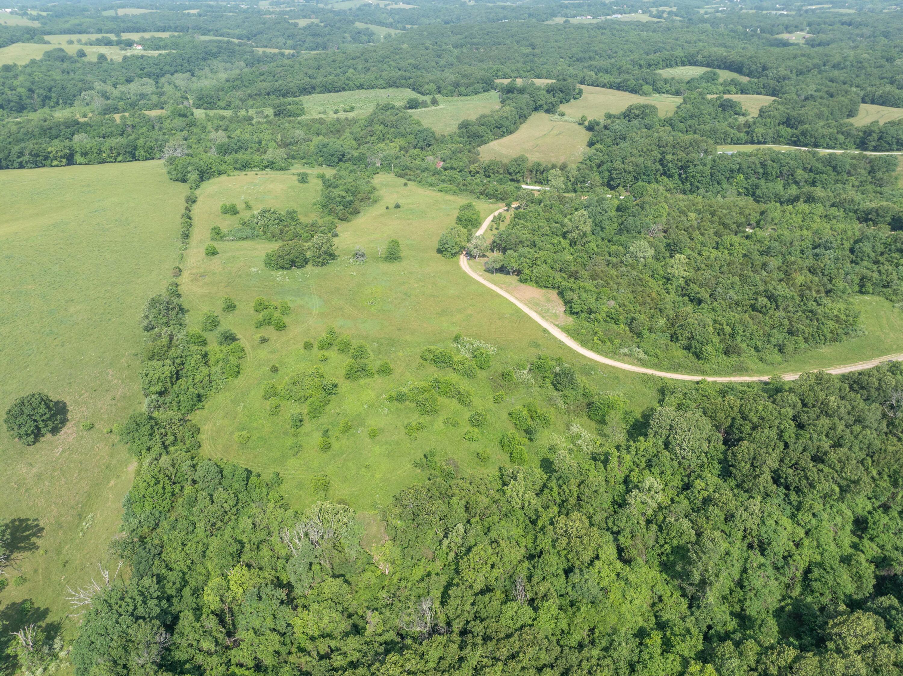 Photo 9 - Land for sale – 858  Kimberlin Mill Road   Clever, MO