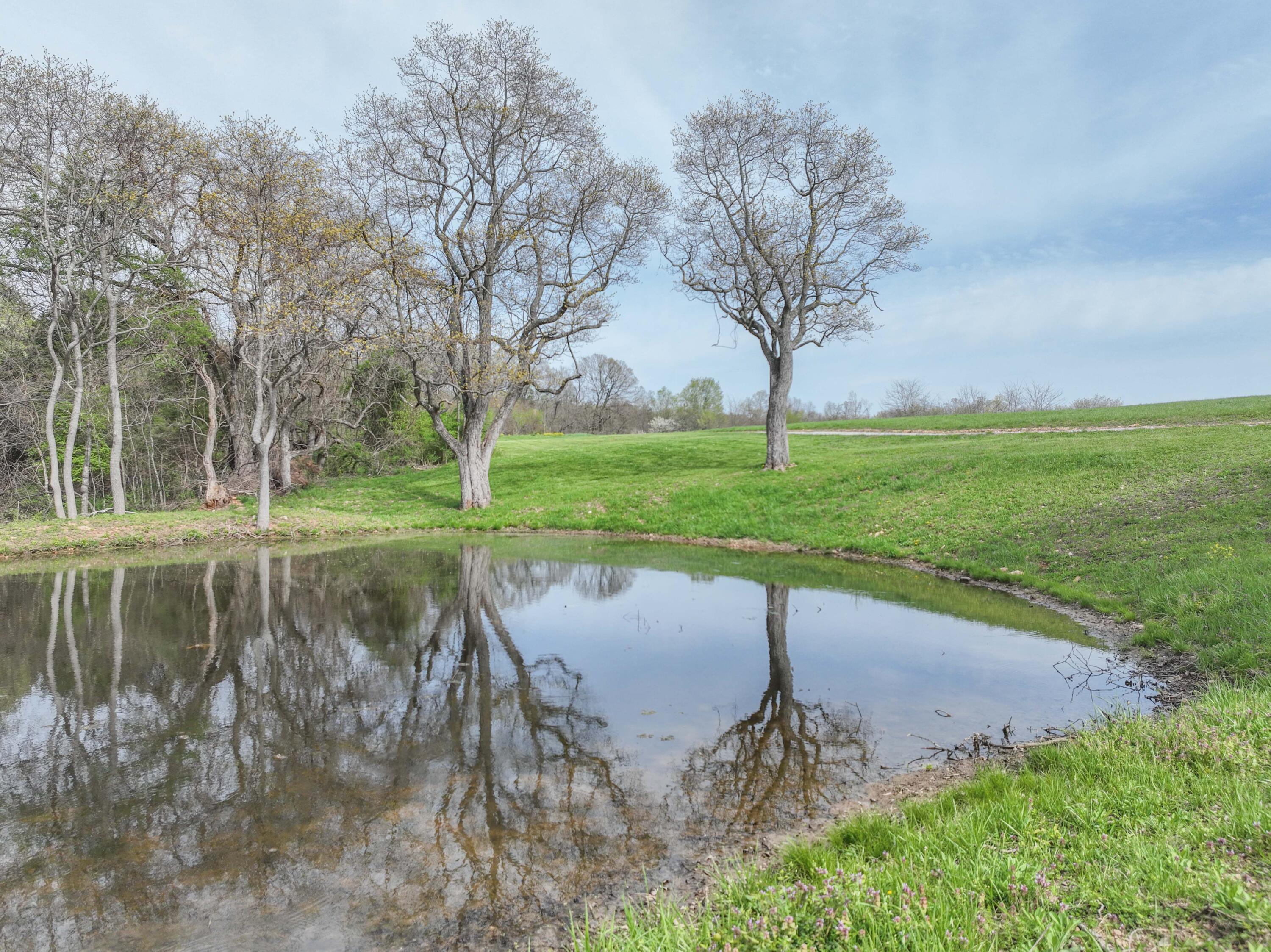Photo 11 - Land for sale – 858  Kimberlin Mill Road   Clever, MO