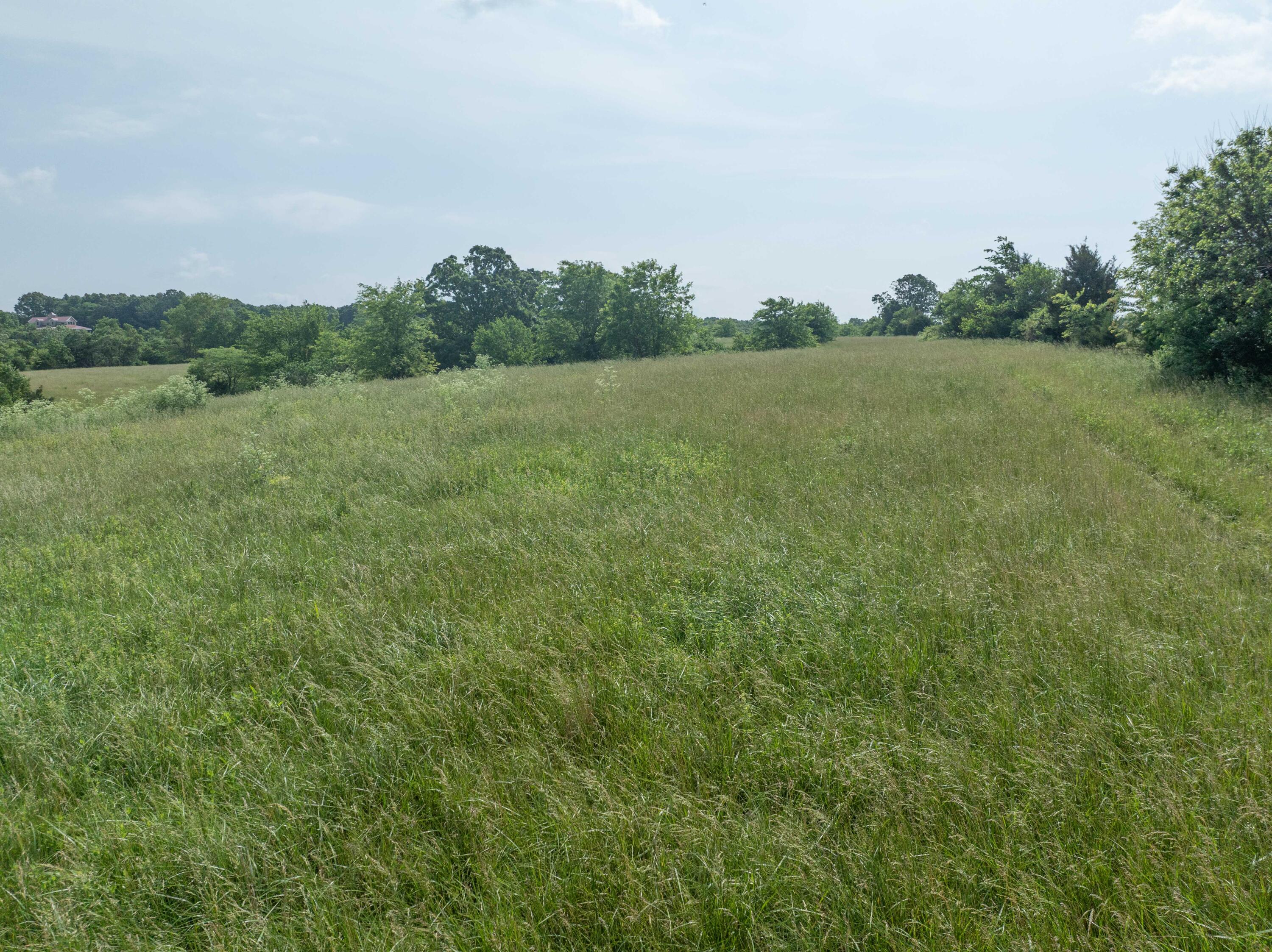 Photo 10 - Land for sale – 858  Kimberlin Mill Road   Clever, MO