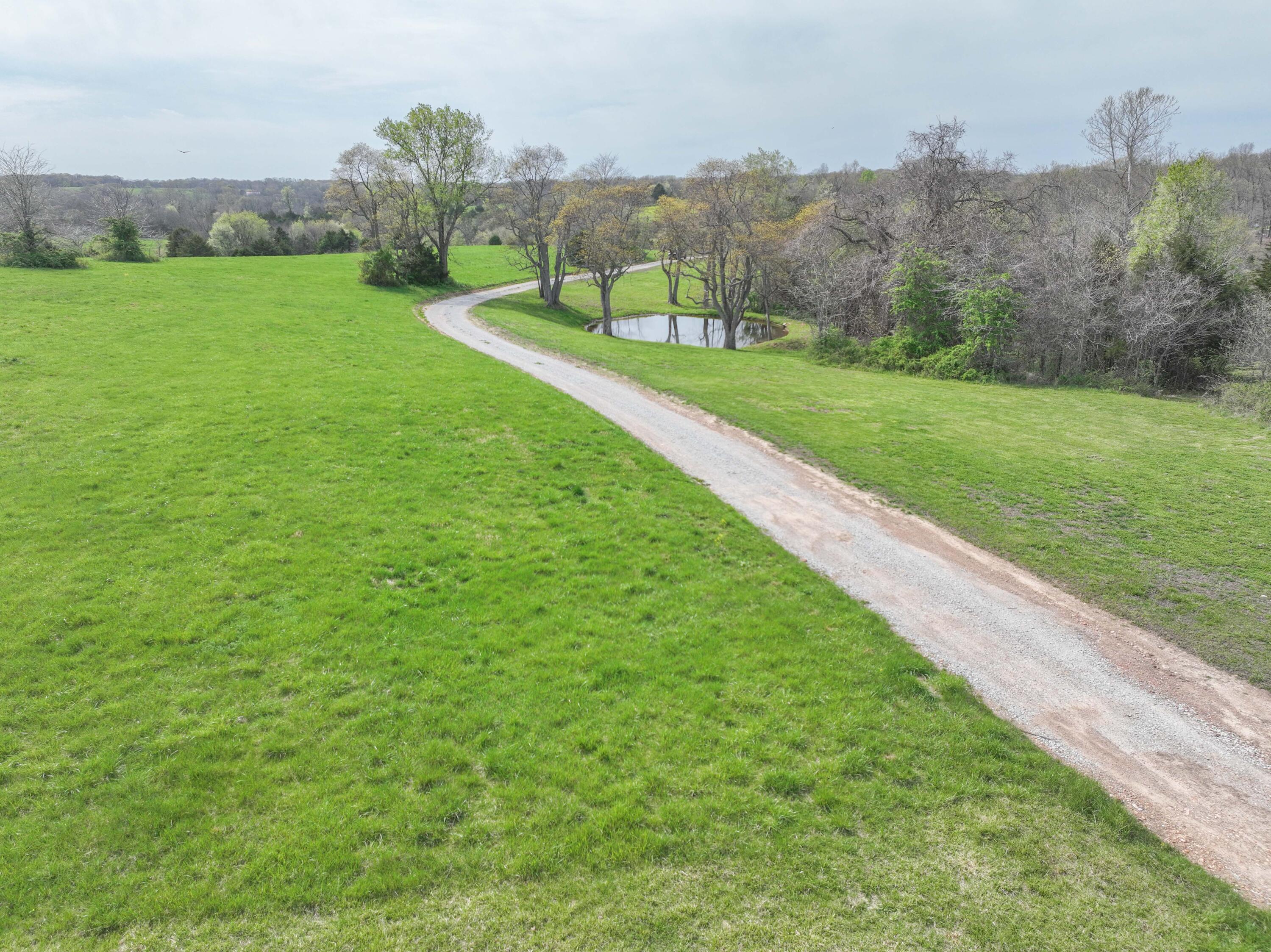 Photo 14 - Land for sale – 858  Kimberlin Mill Road   Clever, MO