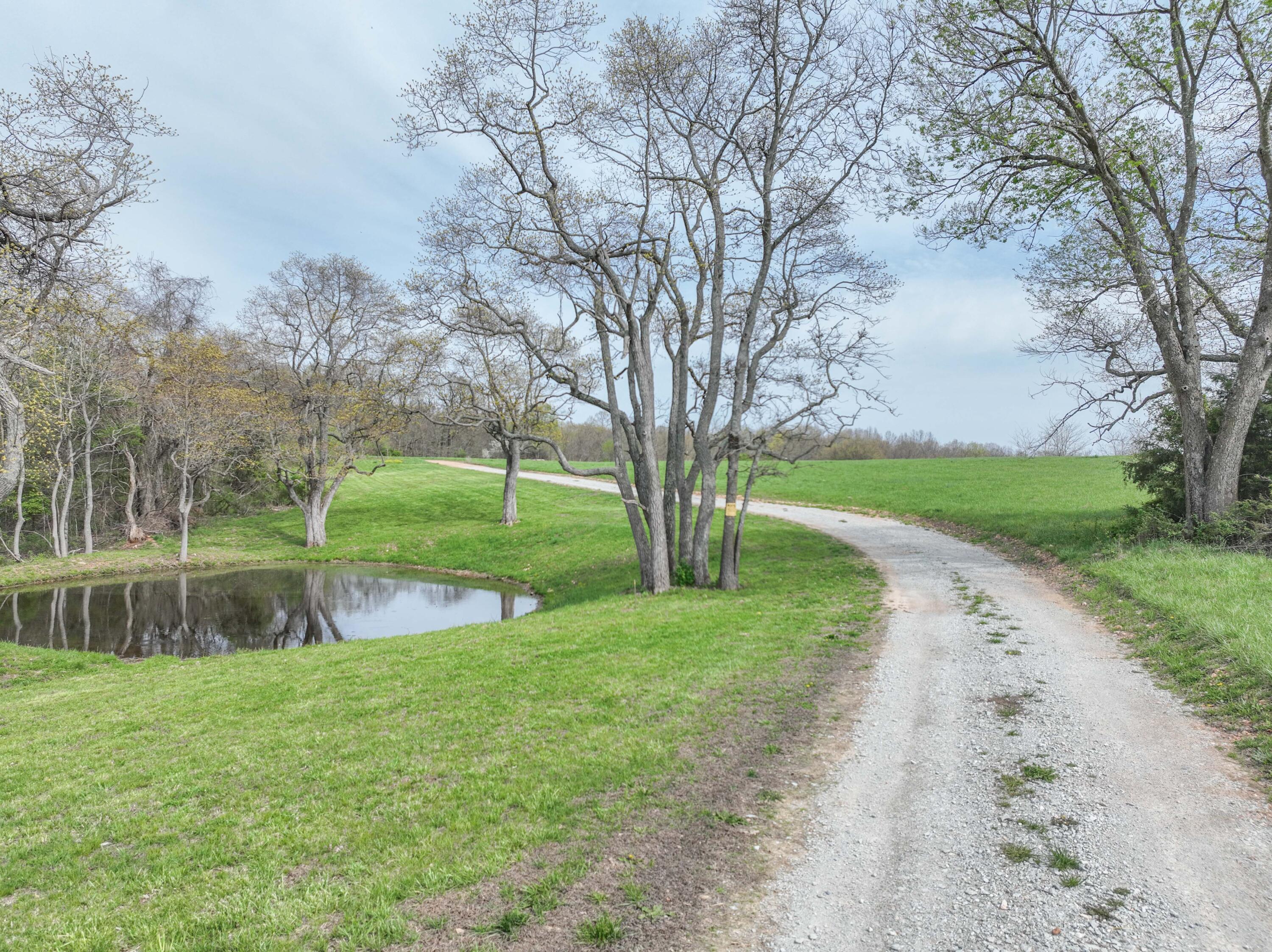 Photo 6 - Land for sale – 858  Kimberlin Mill Road   Clever, MO