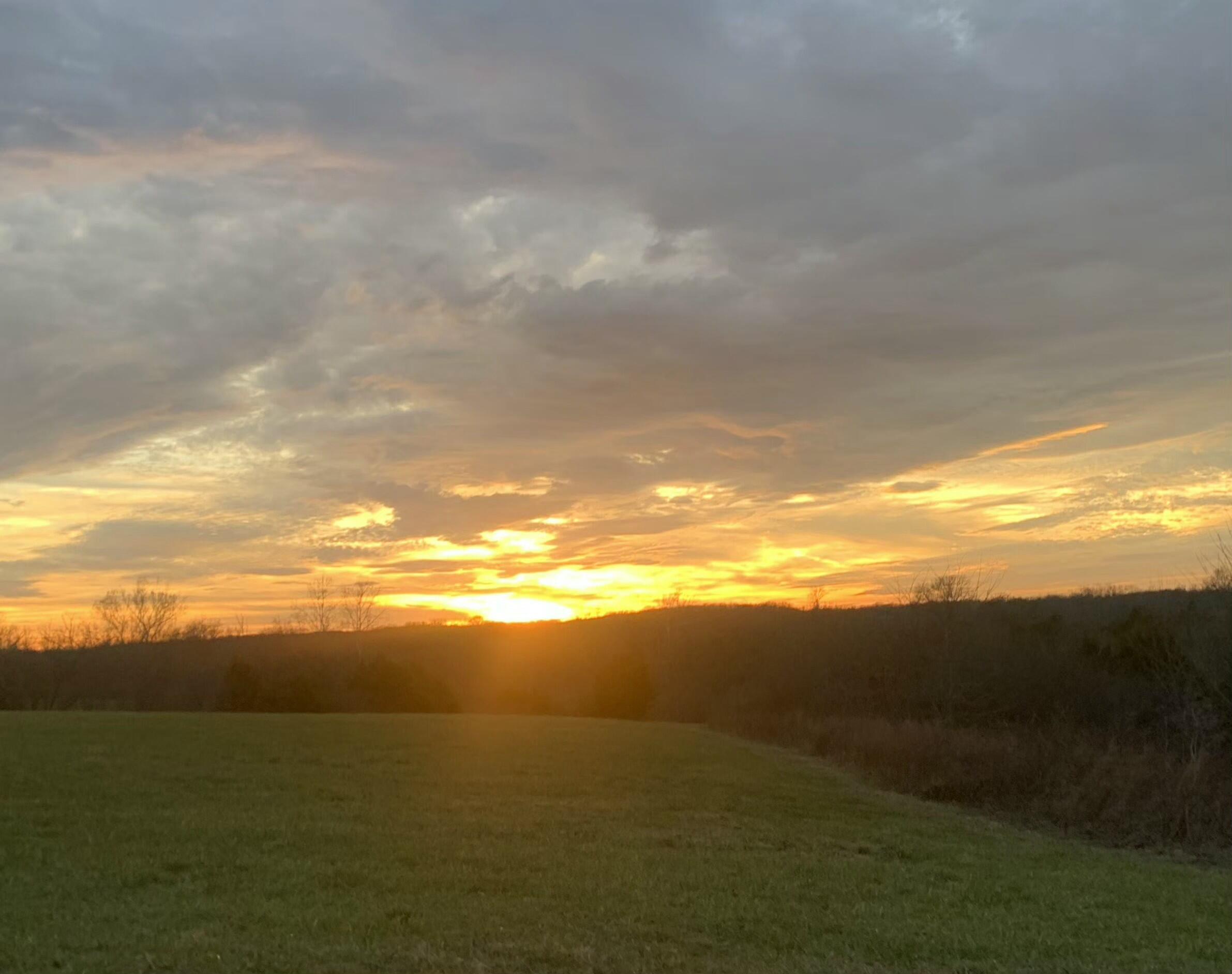 Photo 3 - Land for sale – 858  Kimberlin Mill Road   Clever, MO