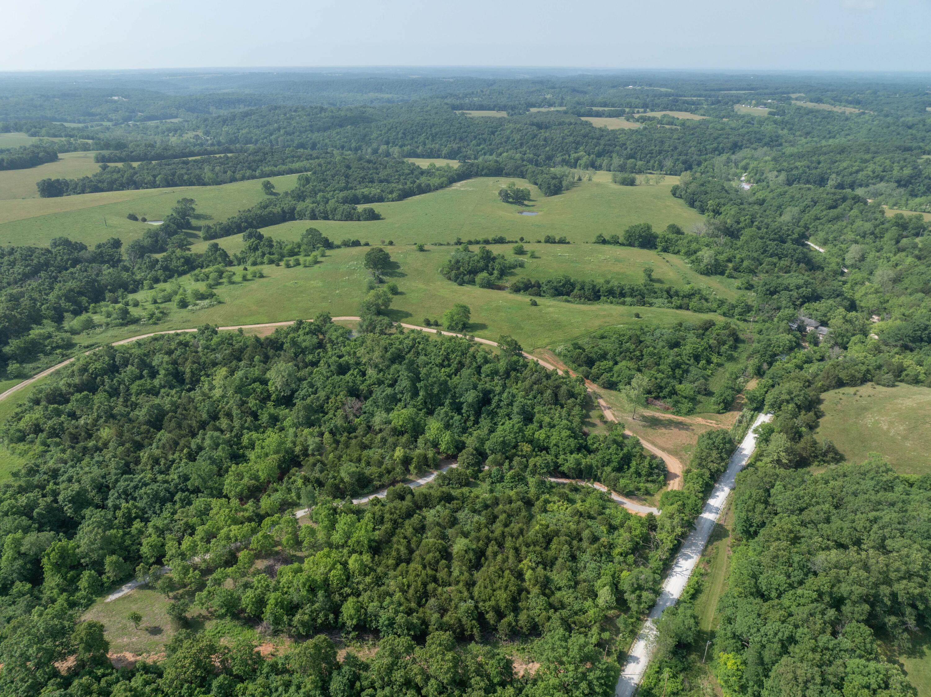 Photo 2 - Land for sale – 858  Kimberlin Mill Road   Clever, MO