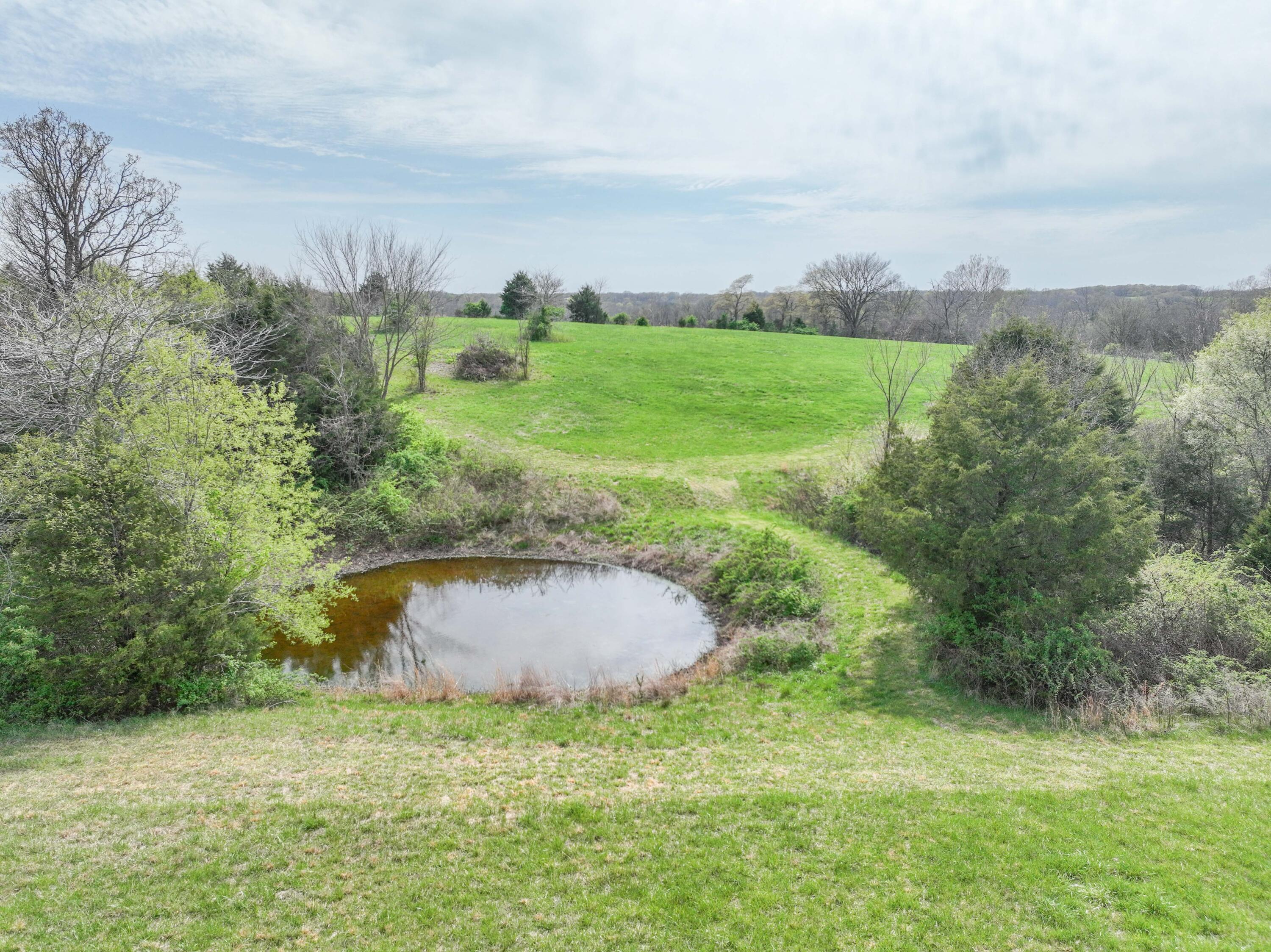 Photo 16 - Land for sale – 858  Kimberlin Mill Road   Clever, MO
