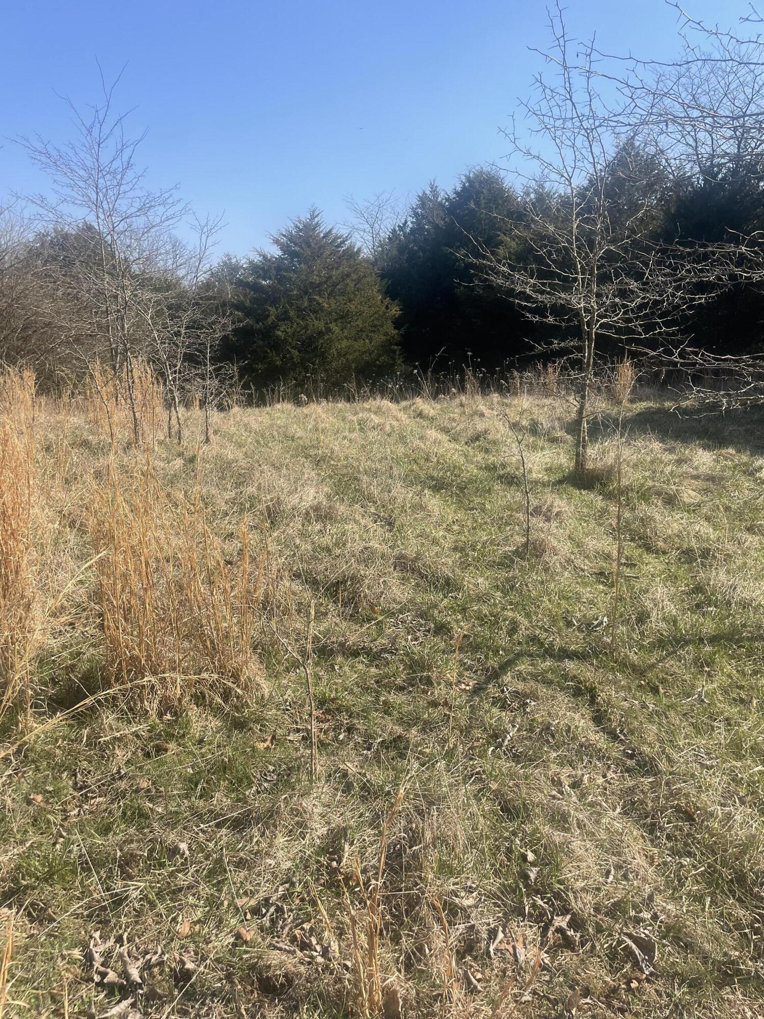 Photo 26 - Land for sale – 19358  Farm Road 2145   Cassville, MO