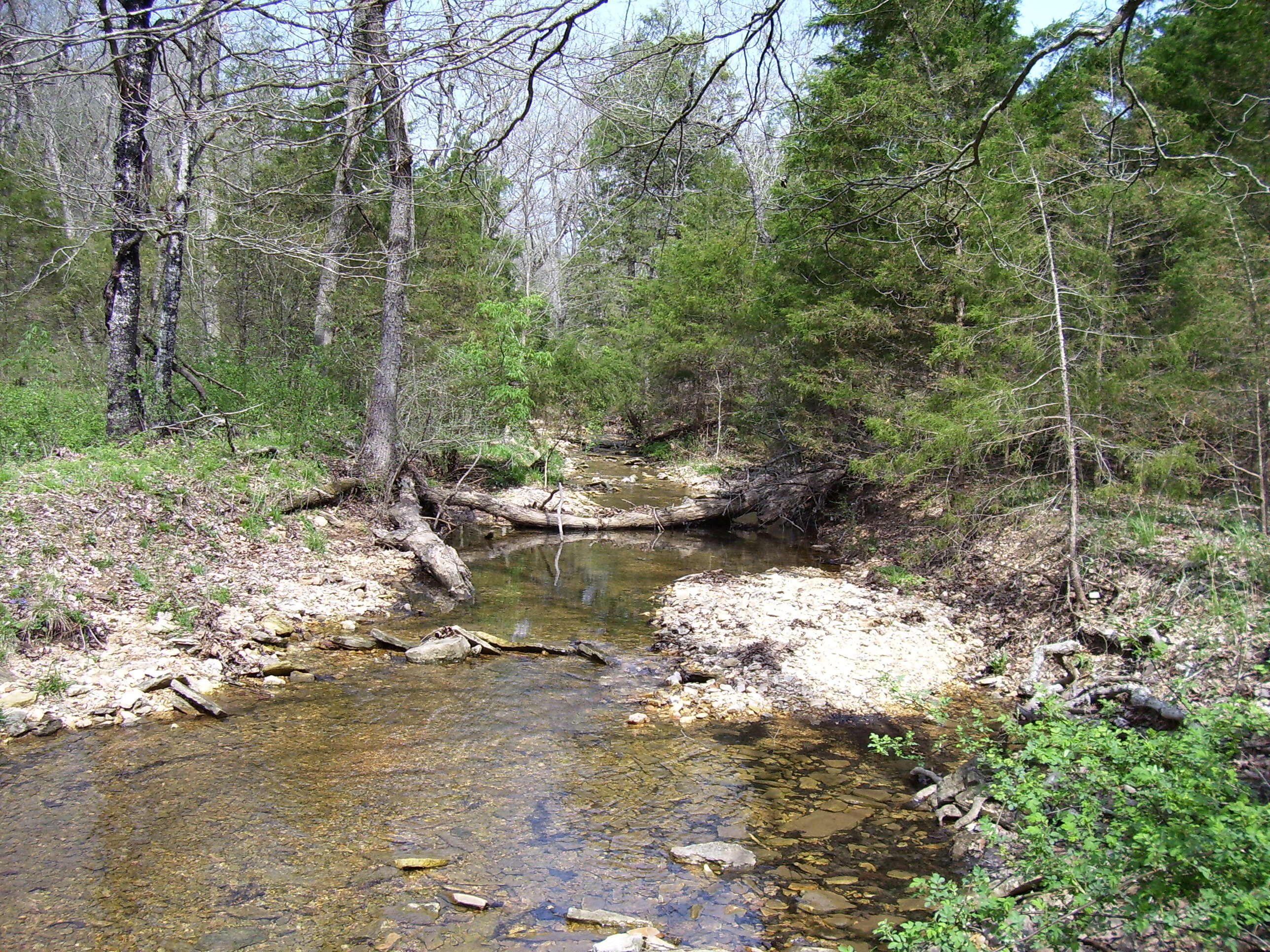 Photo 3 - Land for sale – 19358  Farm Road 2145   Cassville, MO