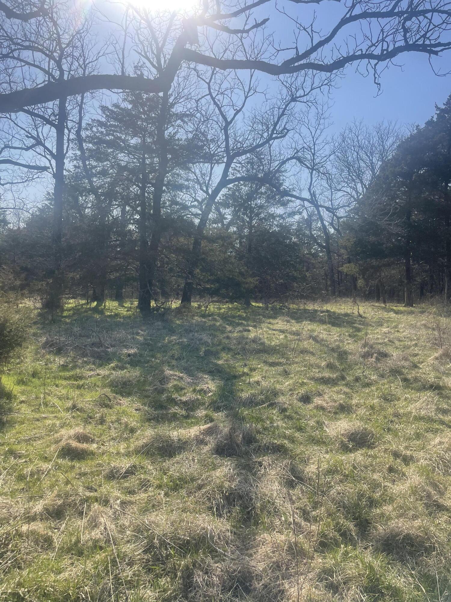 Photo 23 - Land for sale – 19358  Farm Road 2145   Cassville, MO