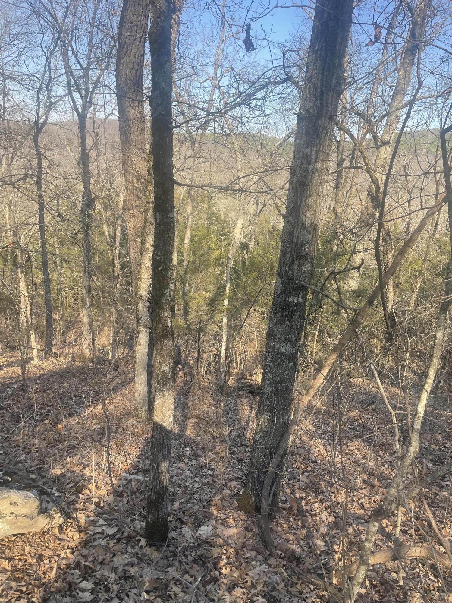 Photo 25 - Land for sale – 19358  Farm Road 2145   Cassville, MO