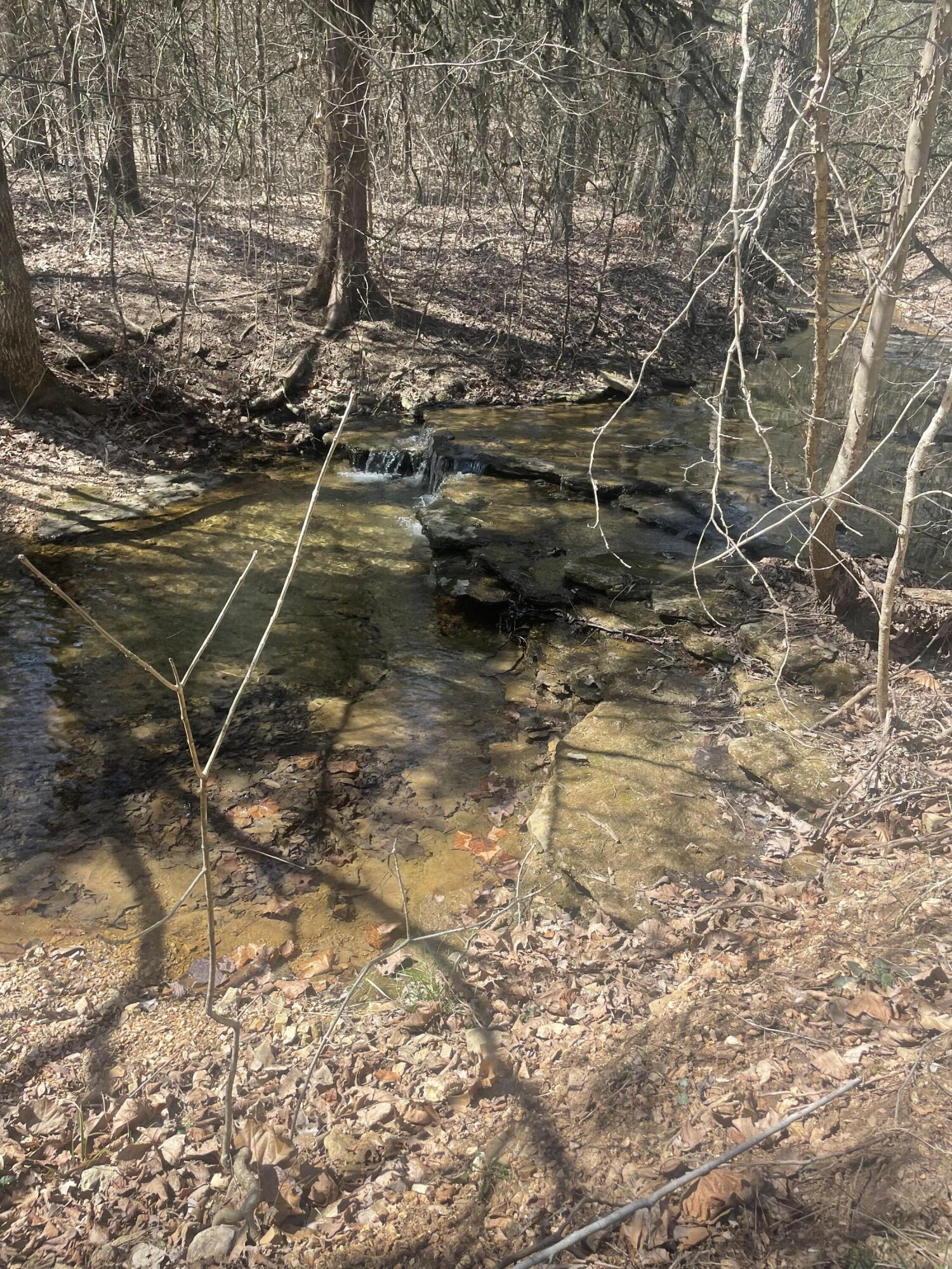 Photo 8 - Land for sale – 19358  Farm Road 2145   Cassville, MO