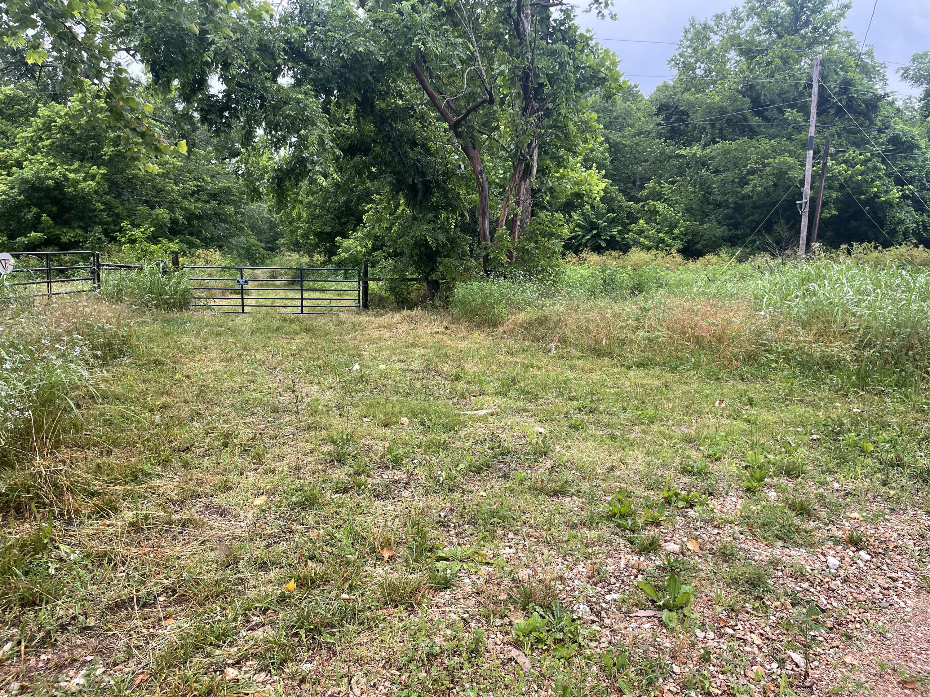 Photo 11 - Land for sale – 19358  Farm Road 2145   Cassville, MO
