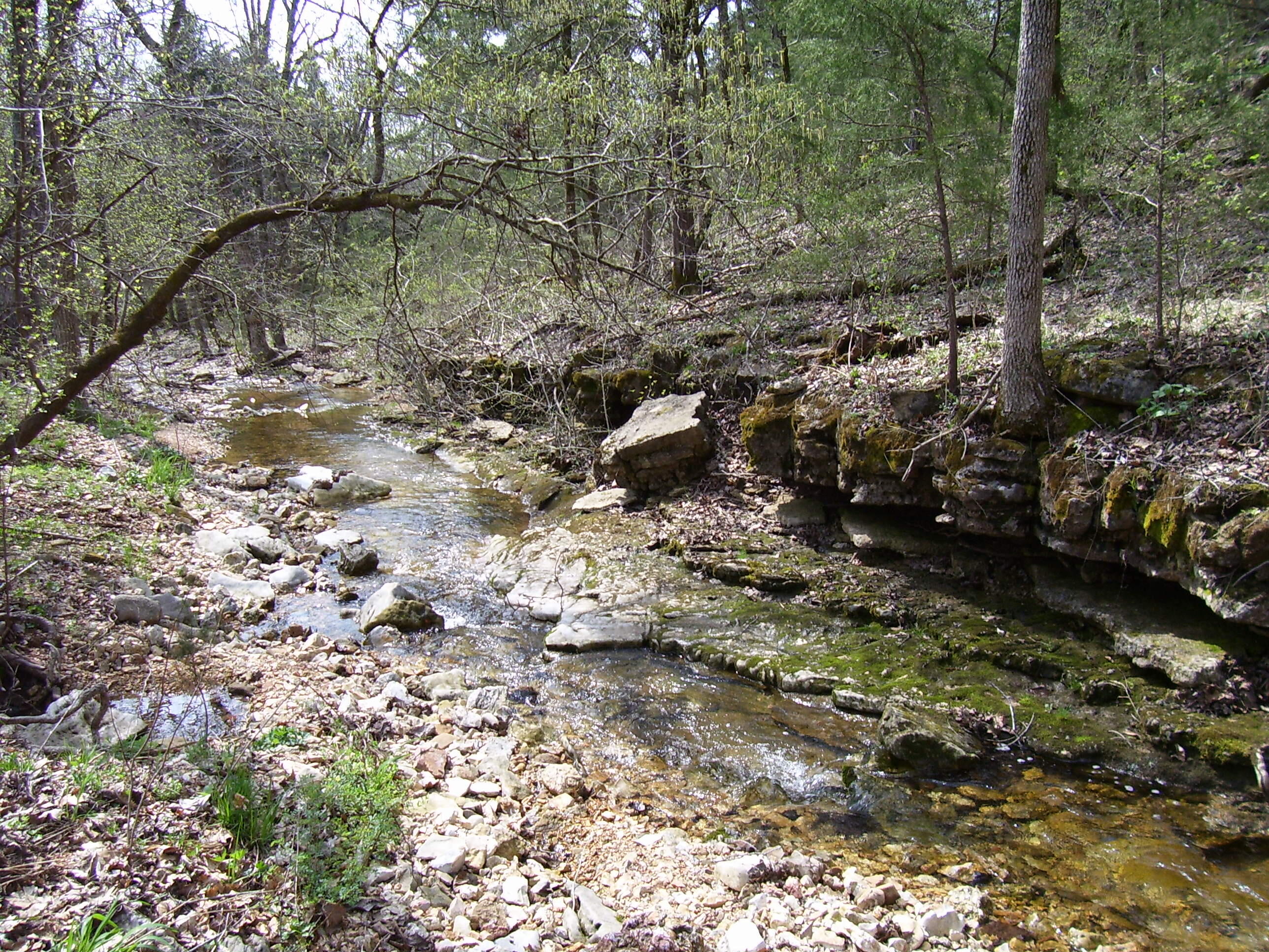 Photo 2 - Land for sale – 19358  Farm Road 2145   Cassville, MO