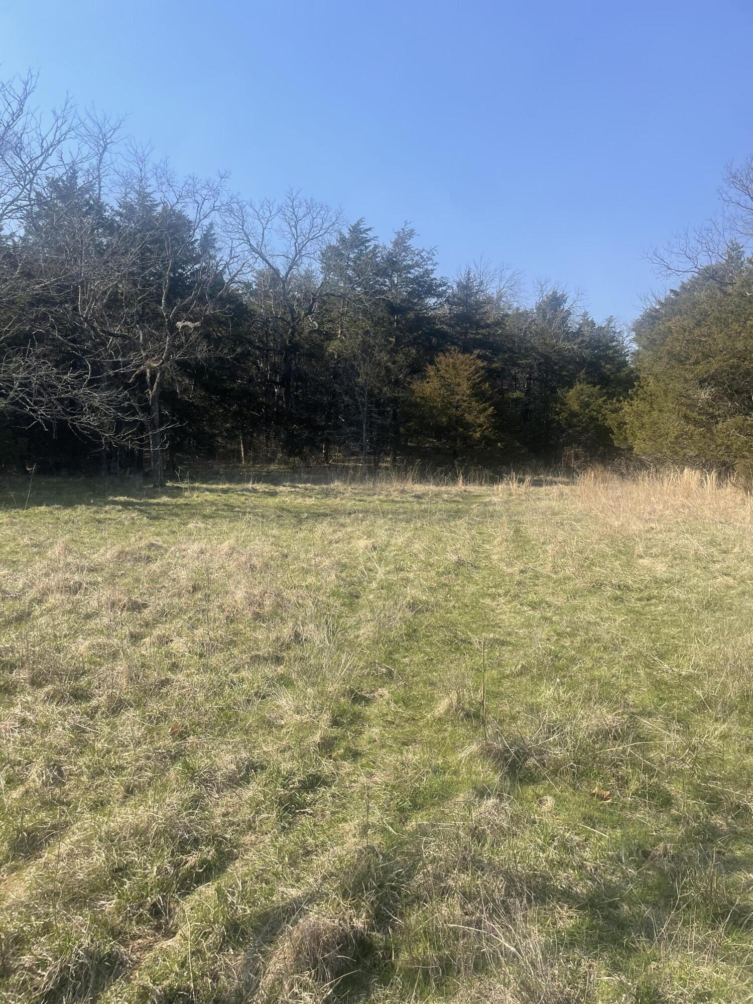 Photo 24 - Land for sale – 19358  Farm Road 2145   Cassville, MO
