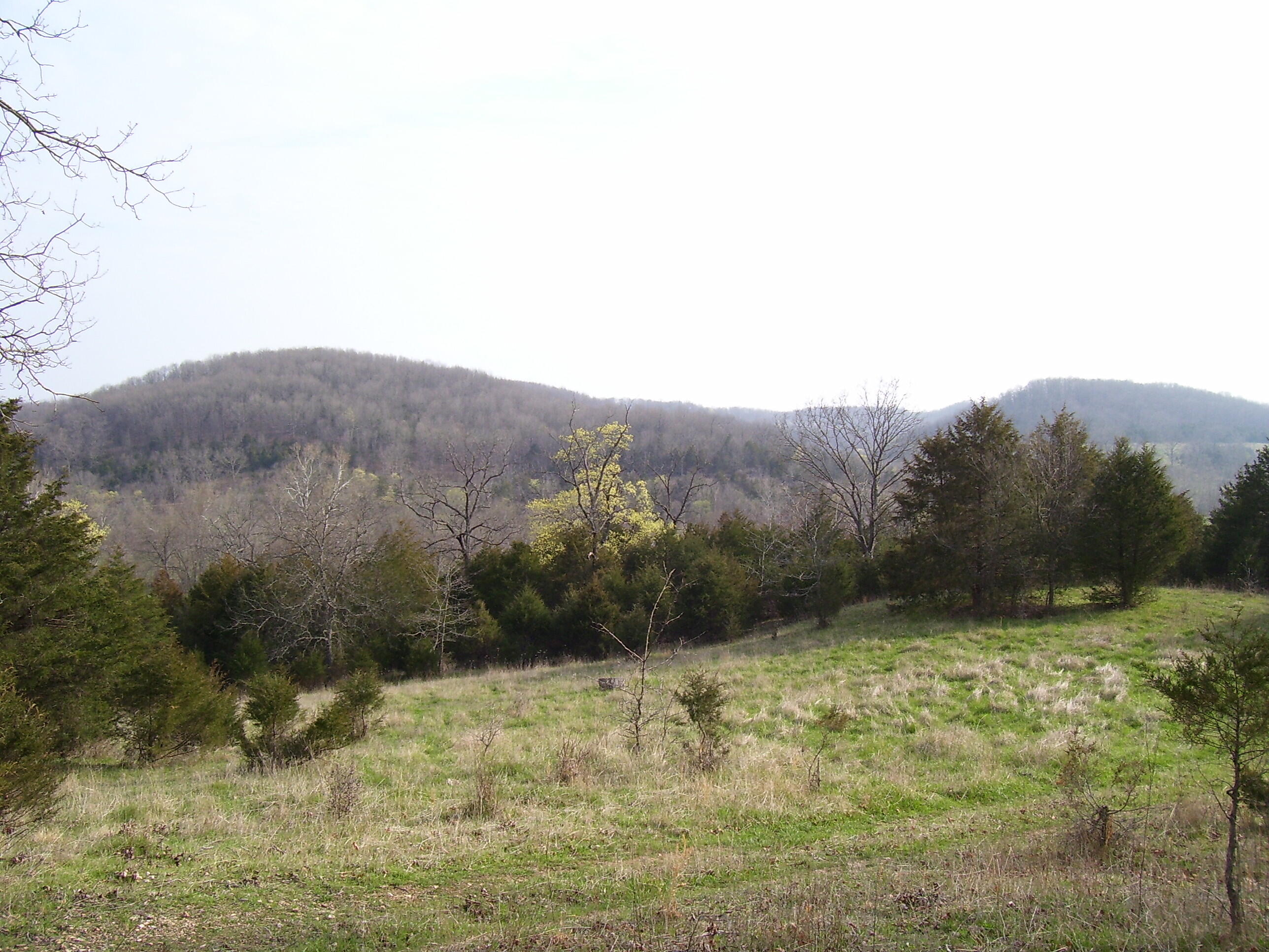 Photo 6 - Land for sale – 19358  Farm Road 2145   Cassville, MO