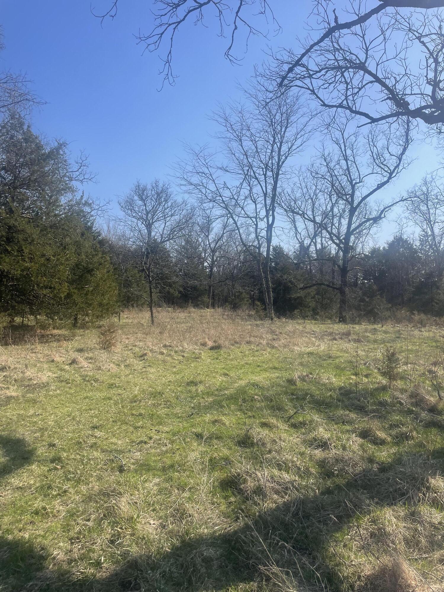 Photo 22 - Land for sale – 19358  Farm Road 2145   Cassville, MO
