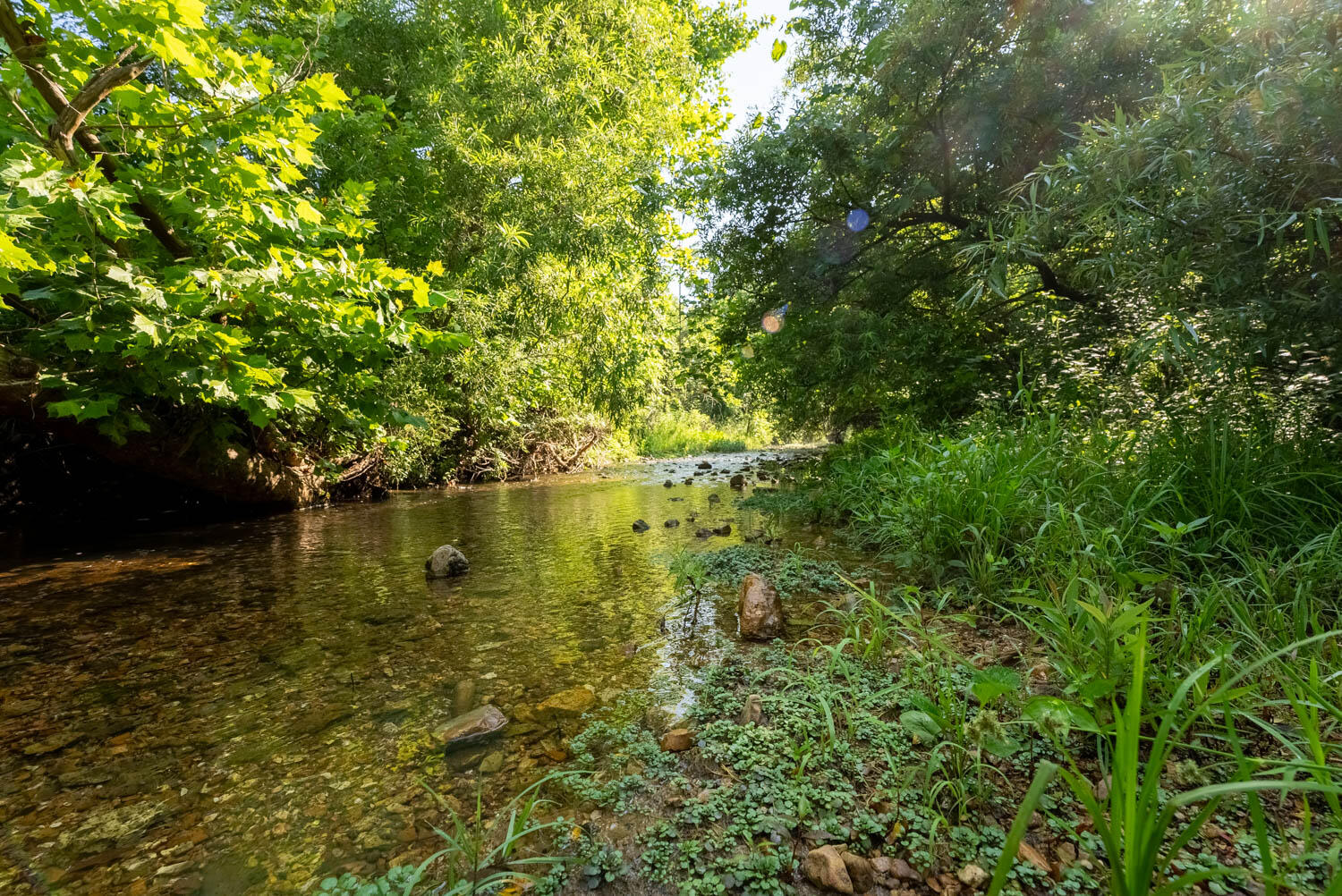 Photo 7 - Land for sale – 766  Rainbow Valley Trail  Mammoth Spring, AR