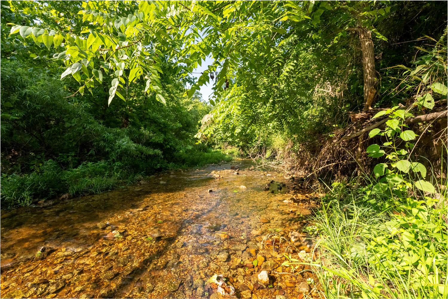 Land for sale – 766  Rainbow Valley Trail  Mammoth Spring, AR