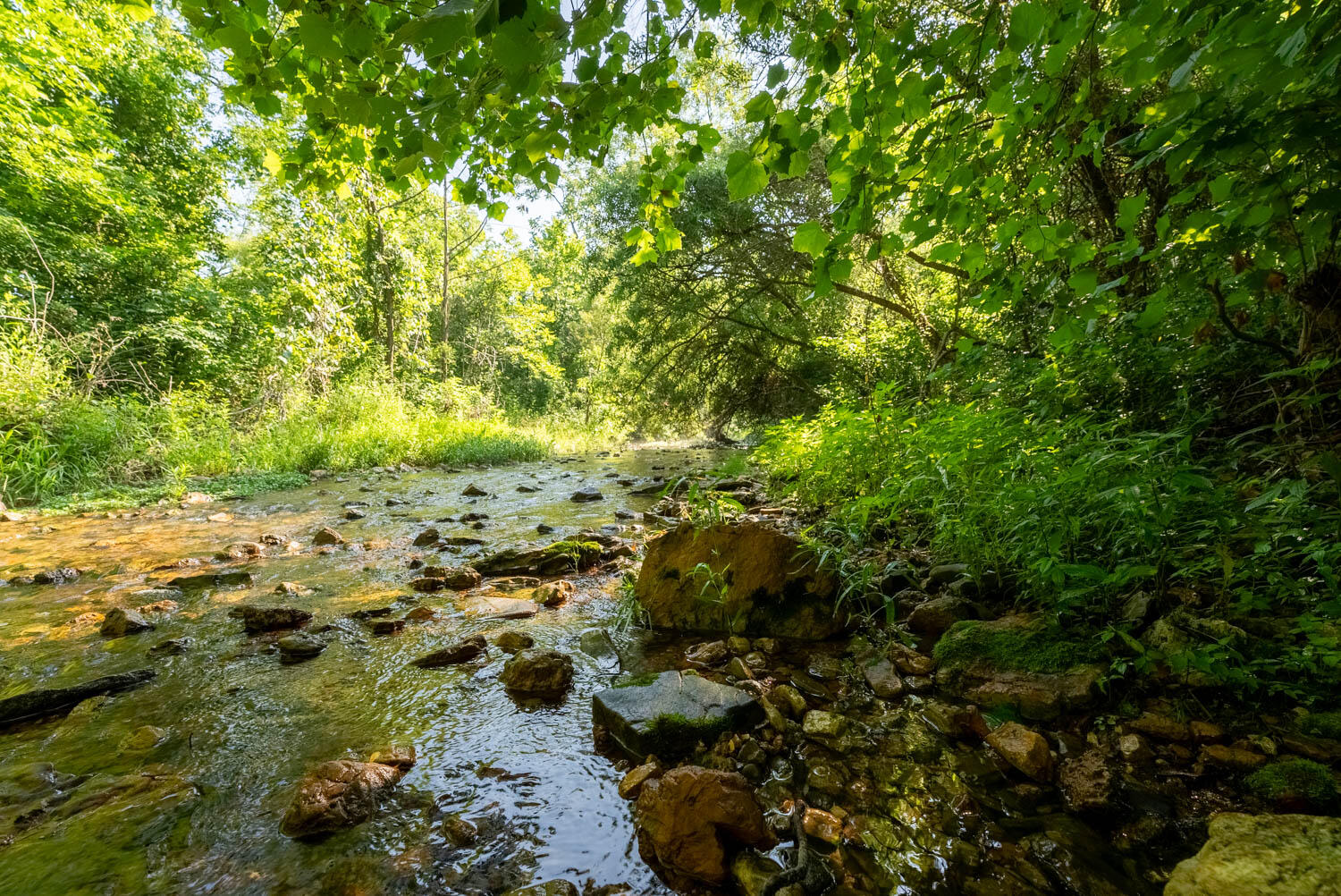 Photo 11 - Land for sale – 766  Rainbow Valley Trail  Mammoth Spring, AR