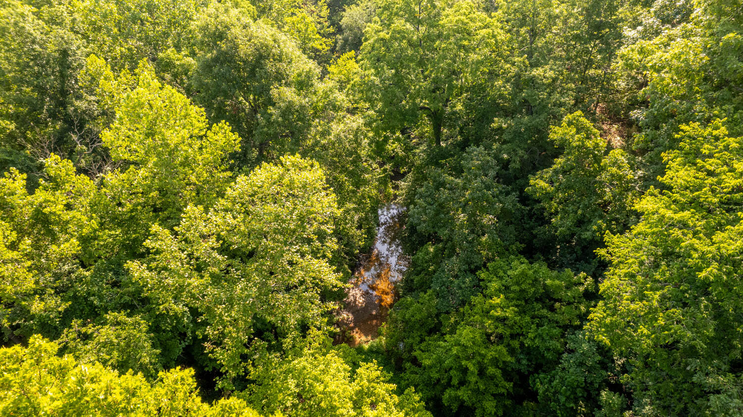 Photo 8 - Land for sale – 766  Rainbow Valley Trail  Mammoth Spring, AR