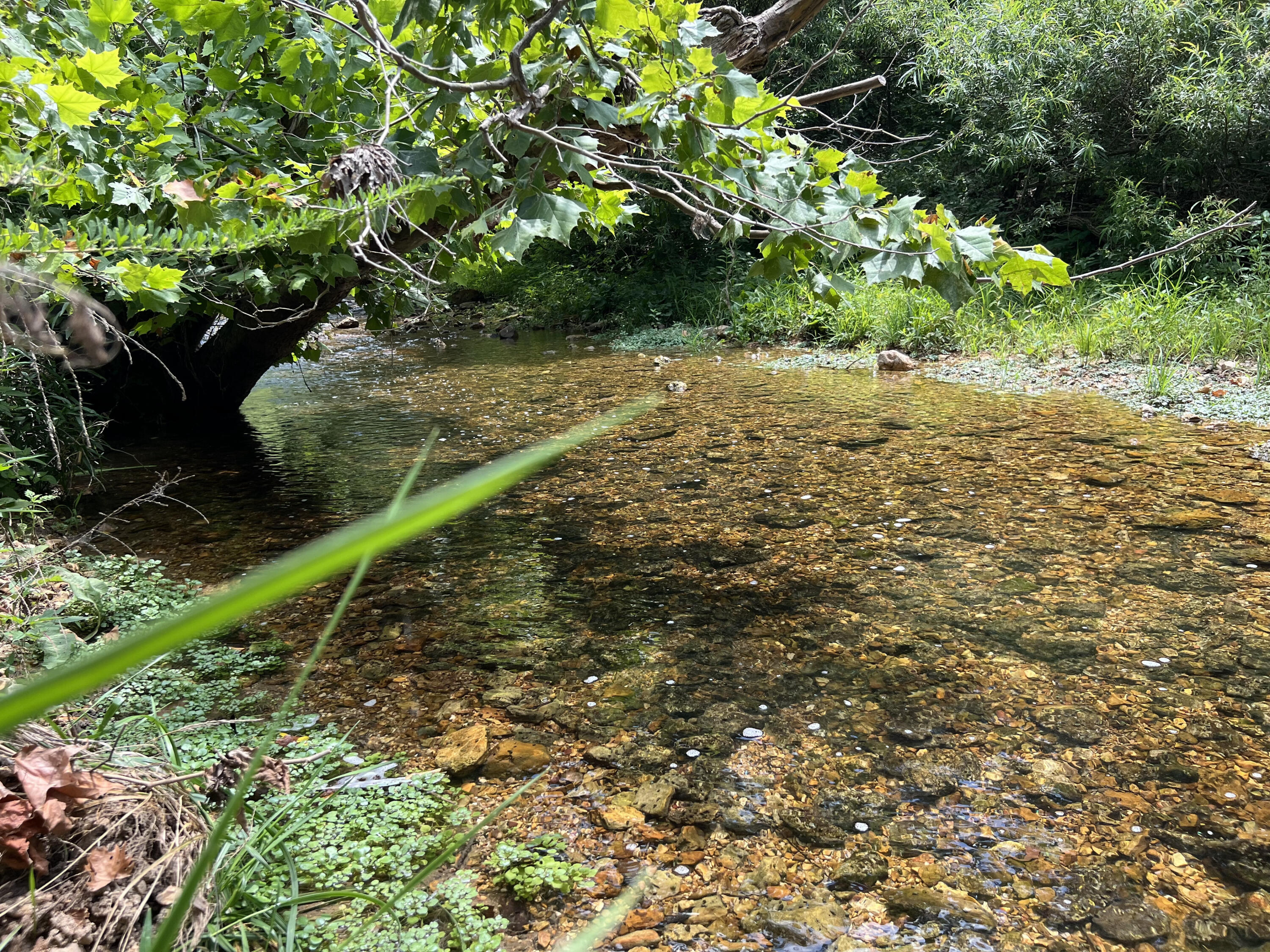 Photo 14 - Land for sale – 766  Rainbow Valley Trail  Mammoth Spring, AR