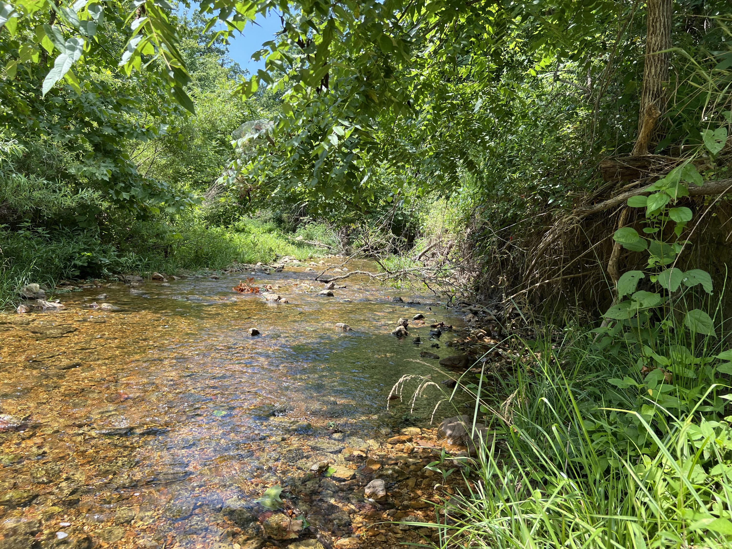 Photo 5 - Land for sale – 766  Rainbow Valley Trail  Mammoth Spring, AR