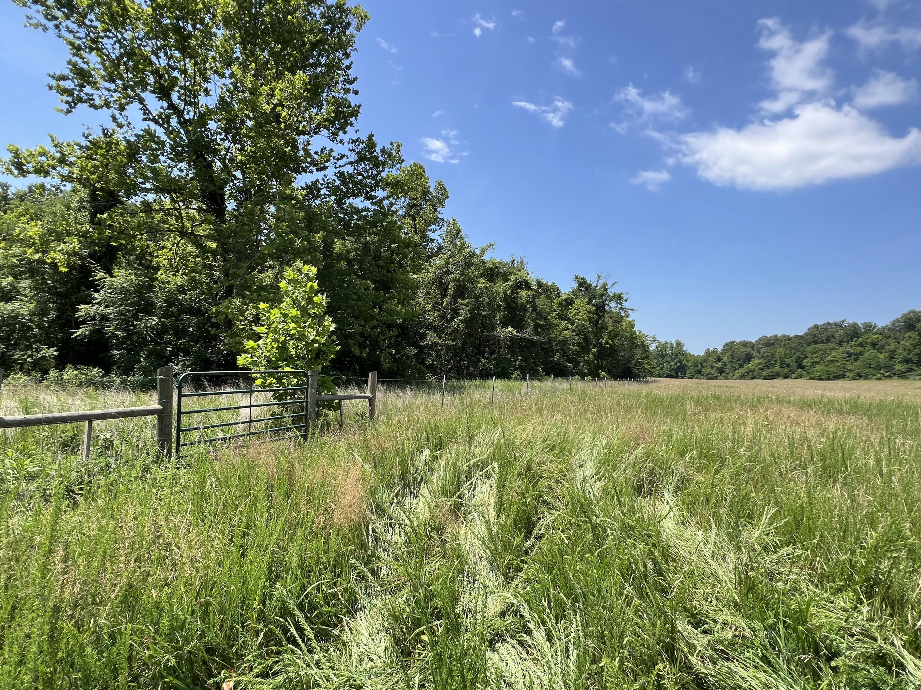 Photo 2 - Land for sale – 766  Rainbow Valley Trail  Mammoth Spring, AR