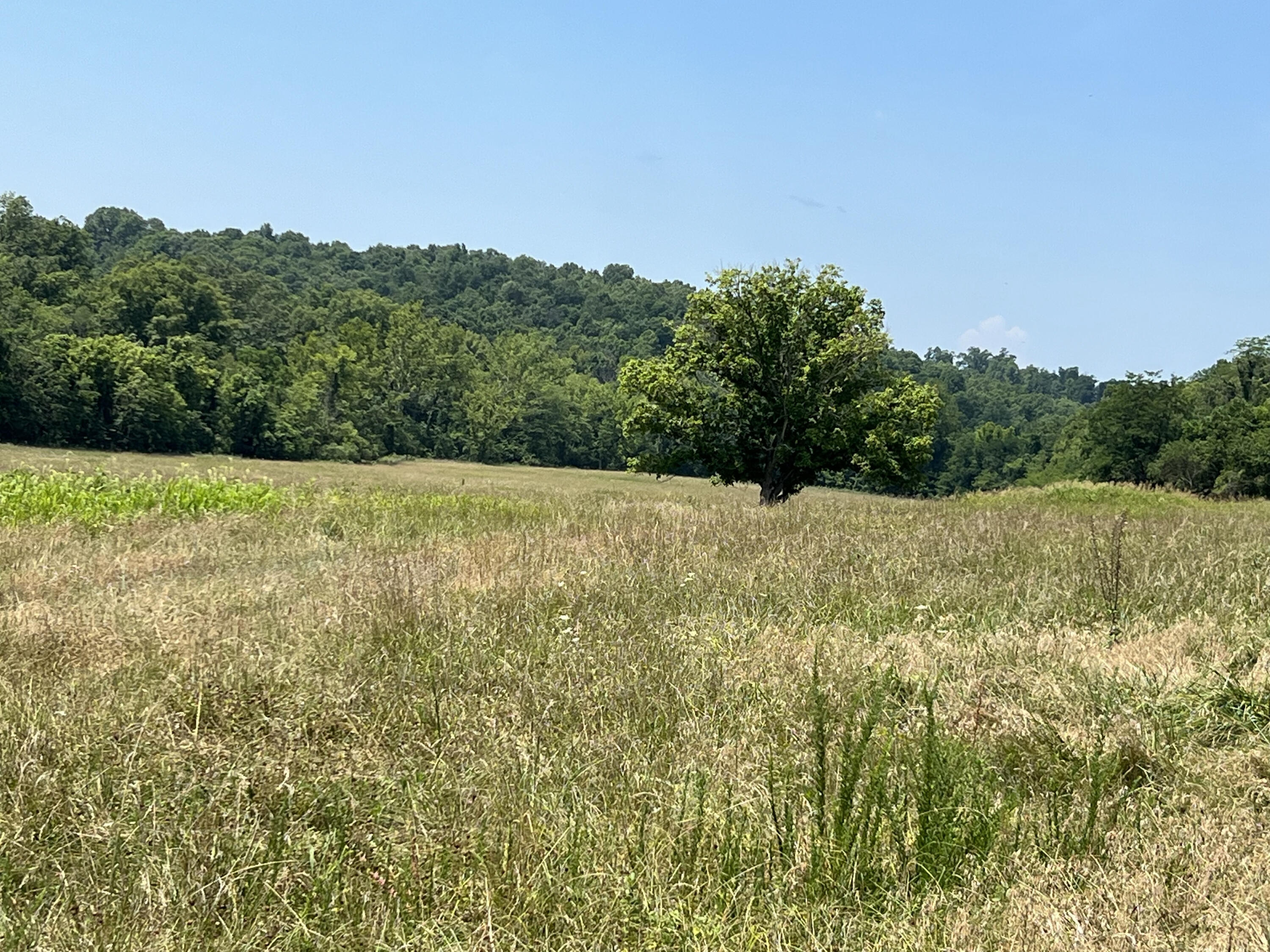 Photo 12 - Land for sale – 766  Rainbow Valley Trail  Mammoth Spring, AR