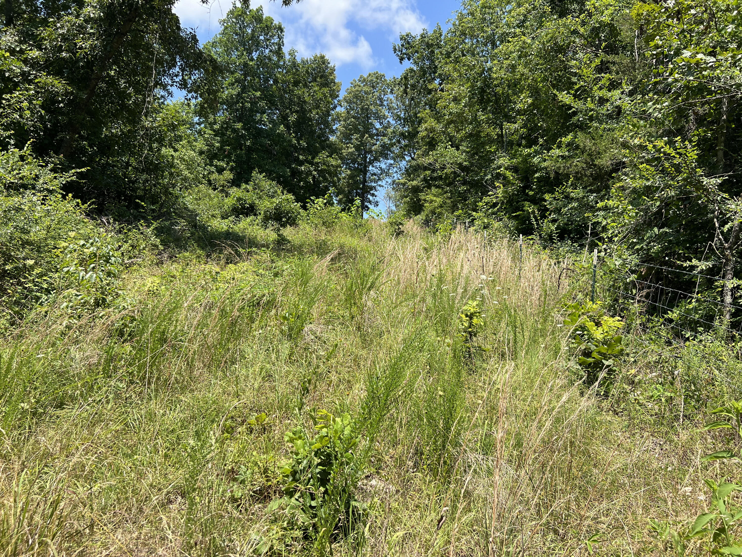 Photo 15 - Land for sale – 766  Rainbow Valley Trail  Mammoth Spring, AR