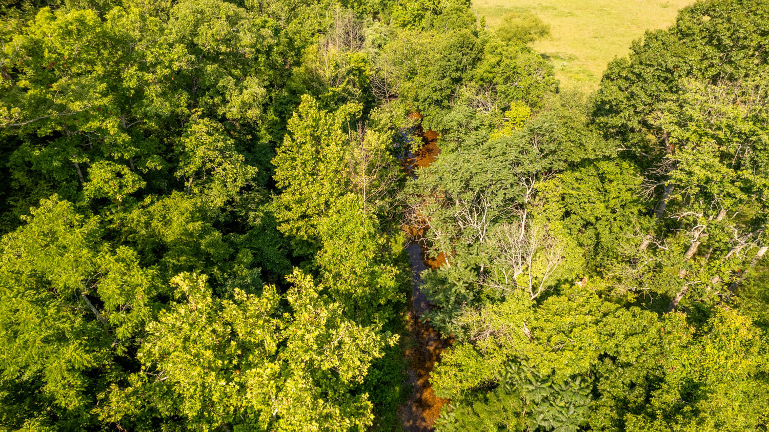 Photo 10 - Land for sale – 766  Rainbow Valley Trail  Mammoth Spring, AR
