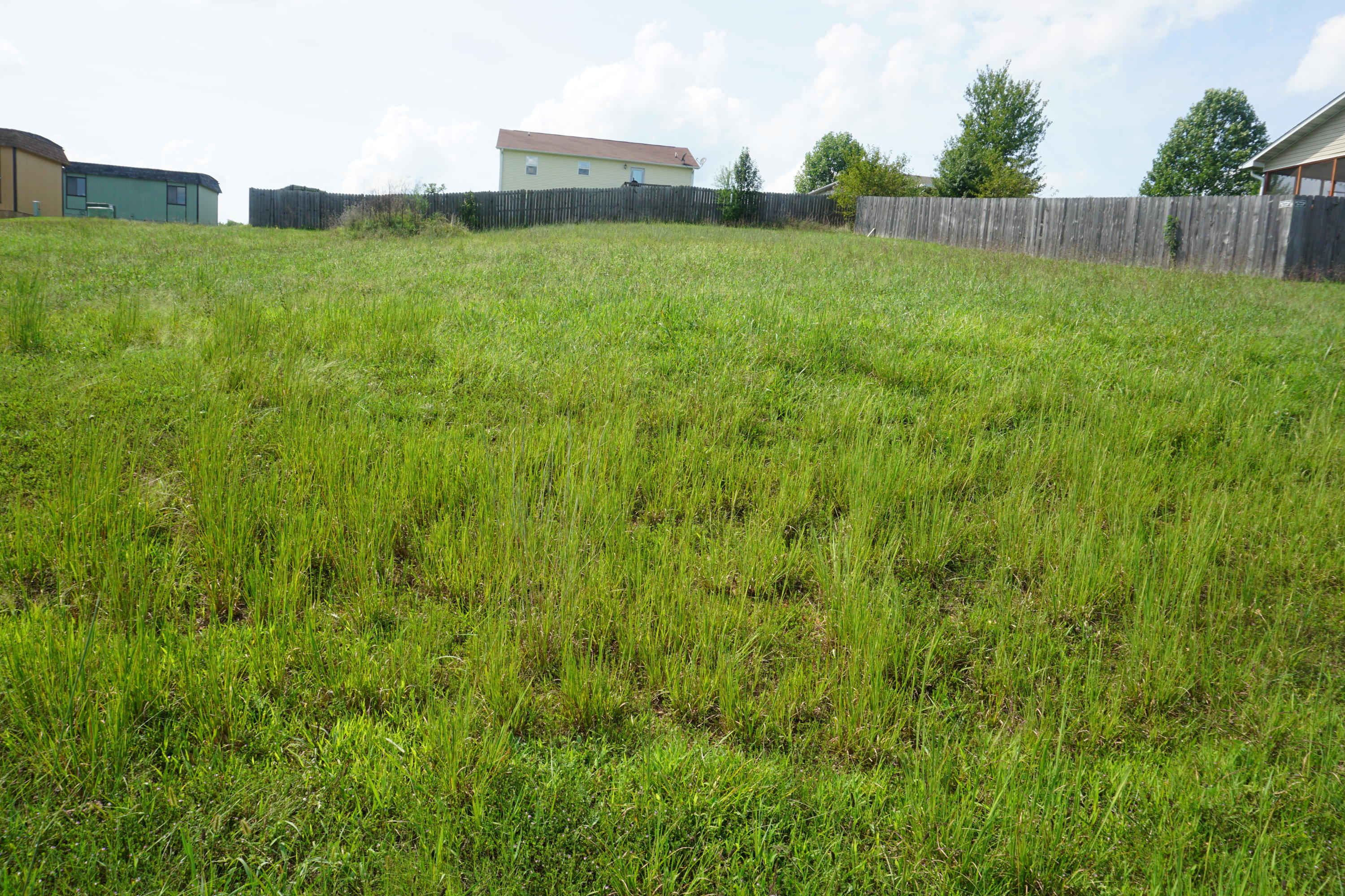 Photo 6 - Land for sale – 000  Jon Streeet   West Plains, MO