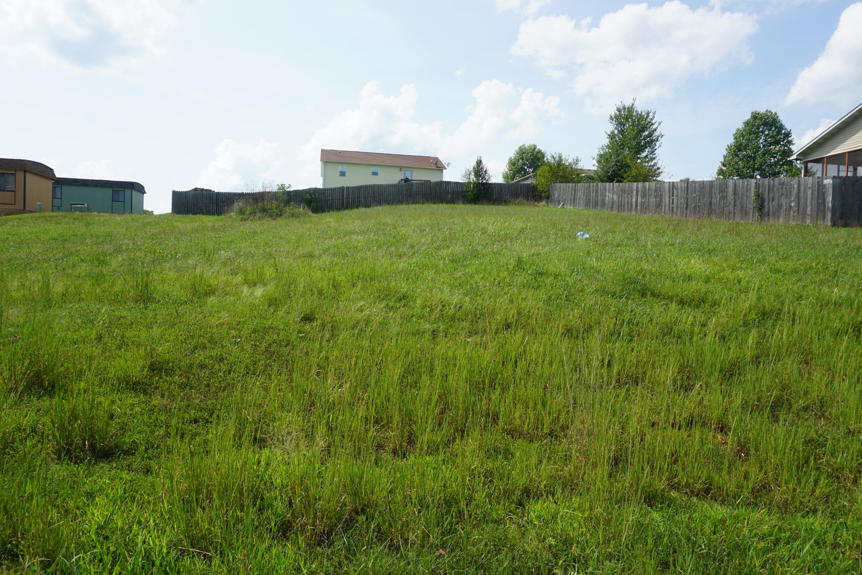 Photo 3 - Land for sale – 000  Jon Streeet   West Plains, MO