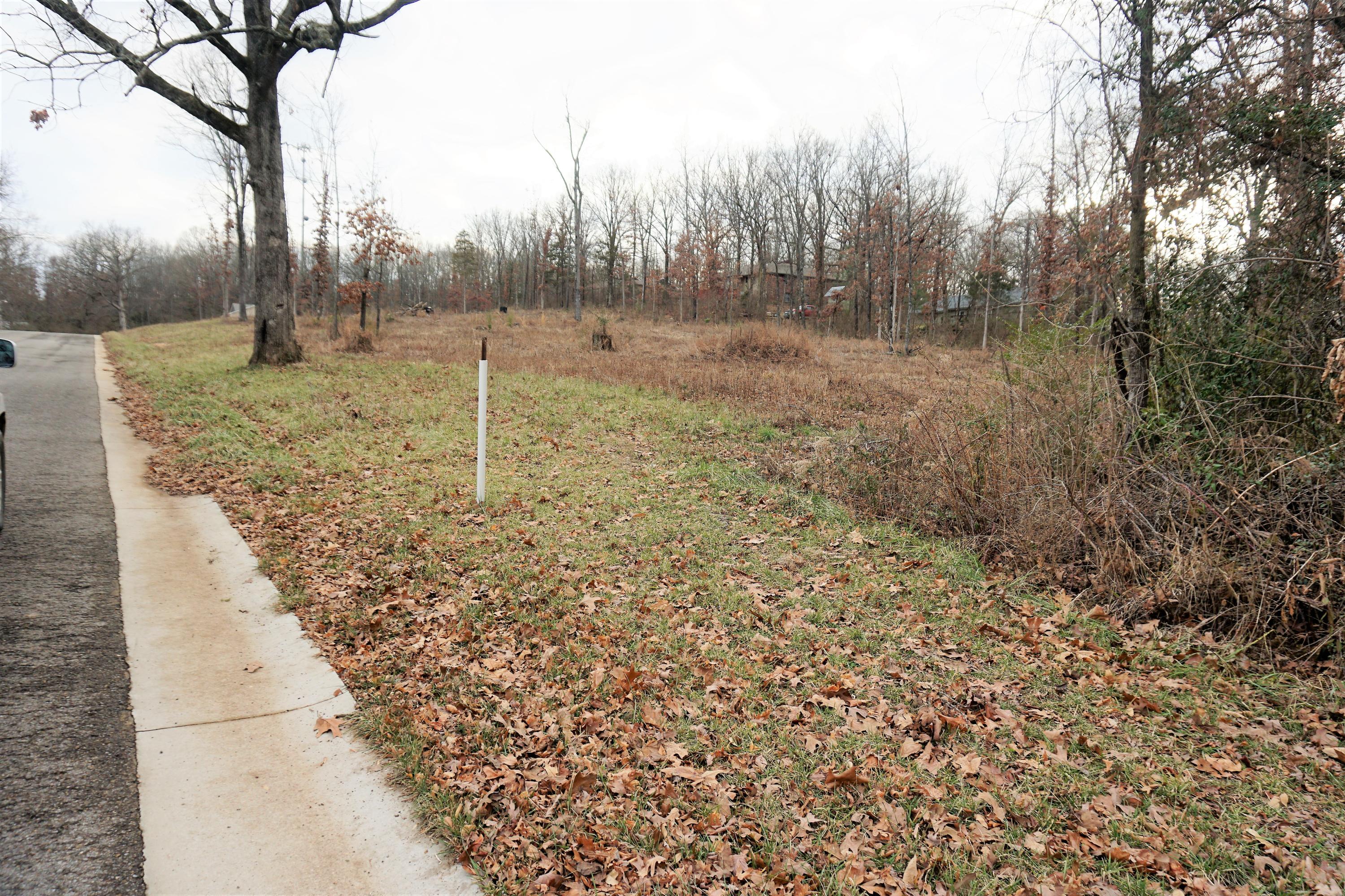 Photo 5 - Land for sale – 215 & 217  S Utah Ave   West Plains, MO