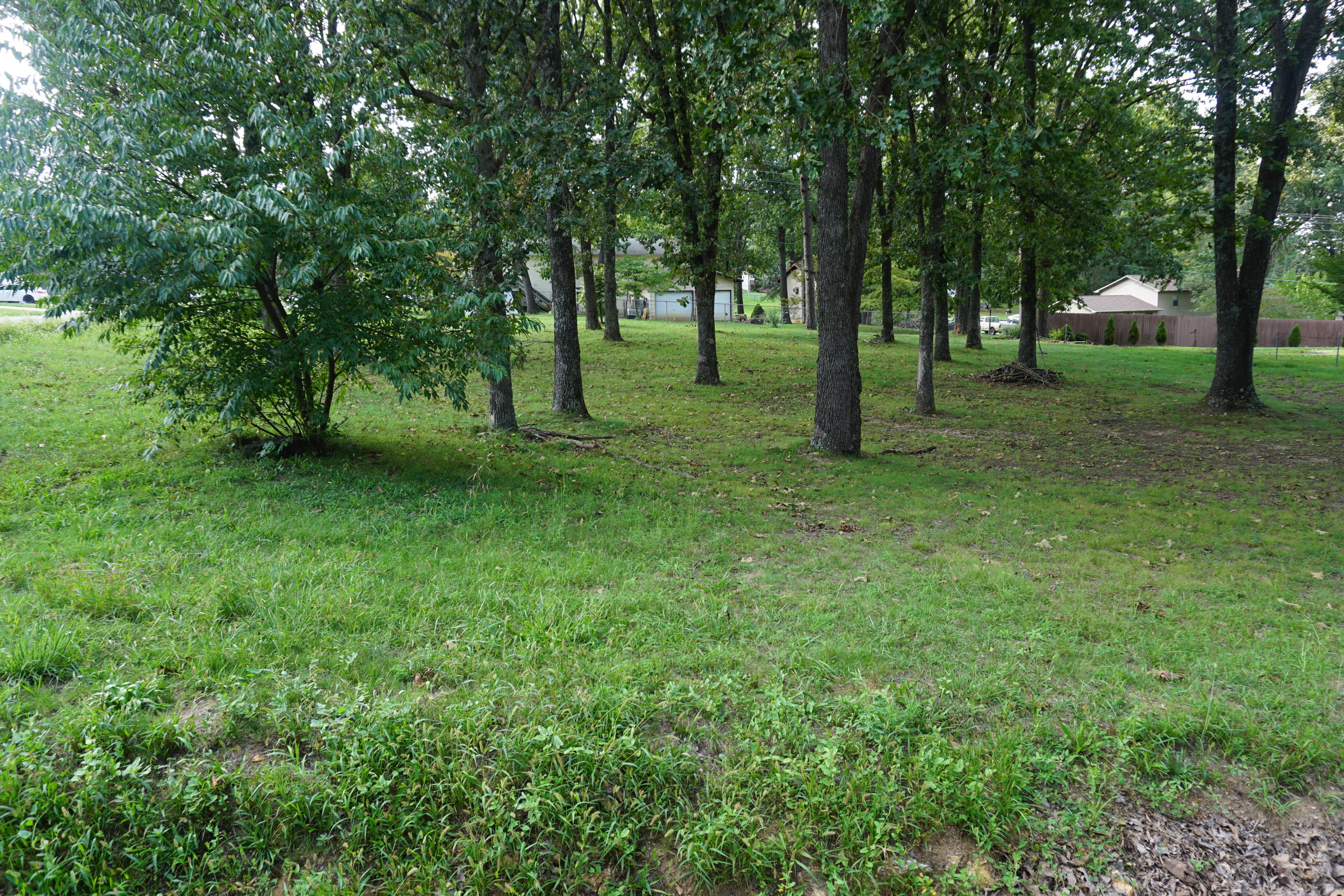 Photo 4 - Land for sale – 000  Joann Drive   West Plains, MO