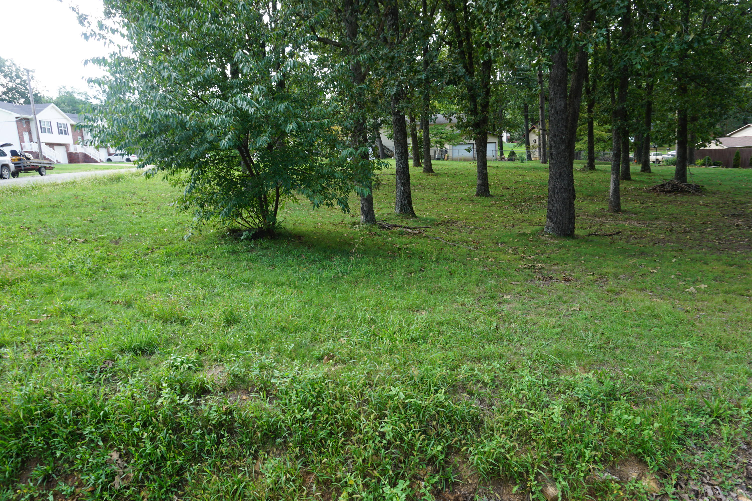 Photo 5 - Land for sale – 000  Joann Drive   West Plains, MO