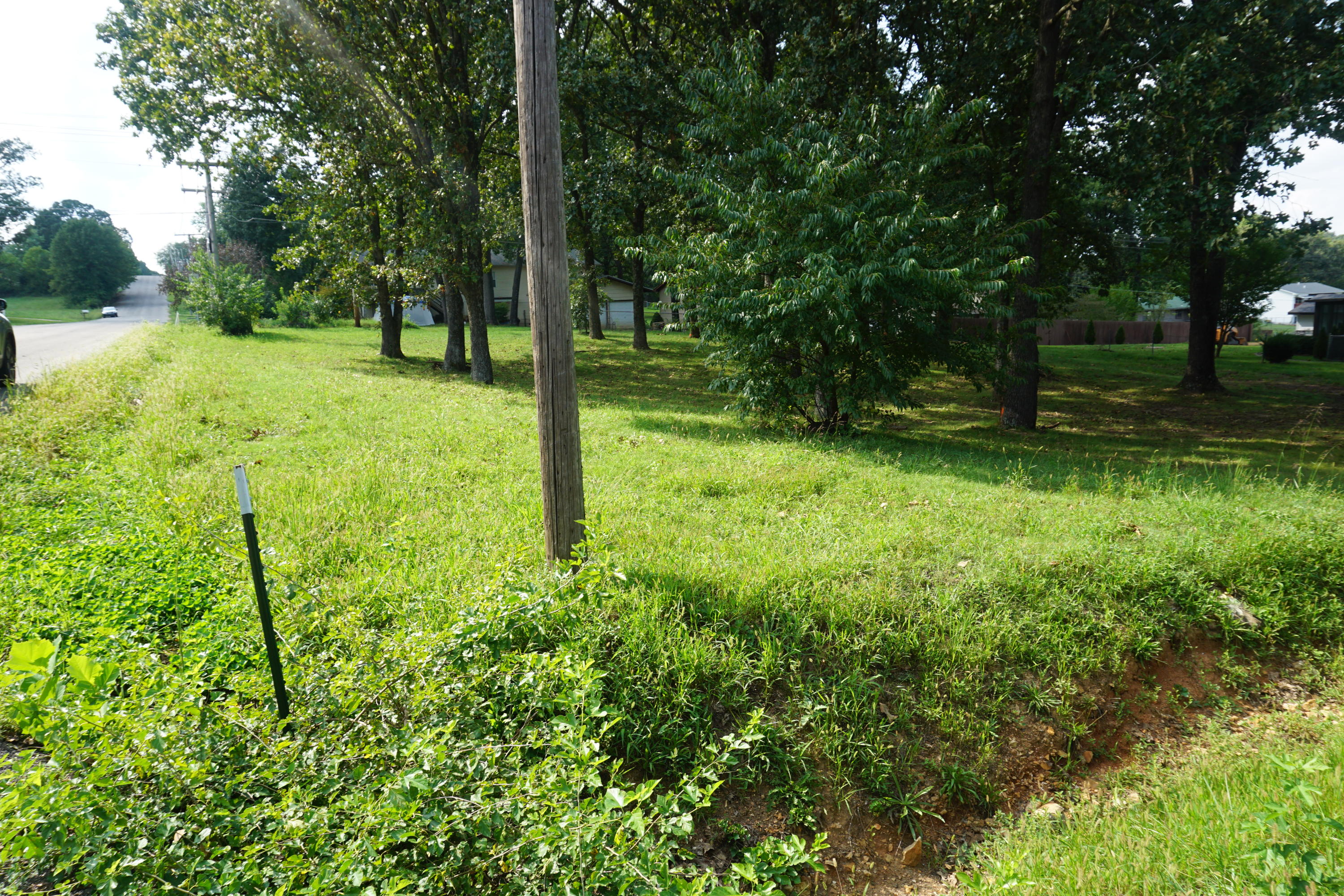 Photo 3 - Land for sale – 000  Joann Drive   West Plains, MO
