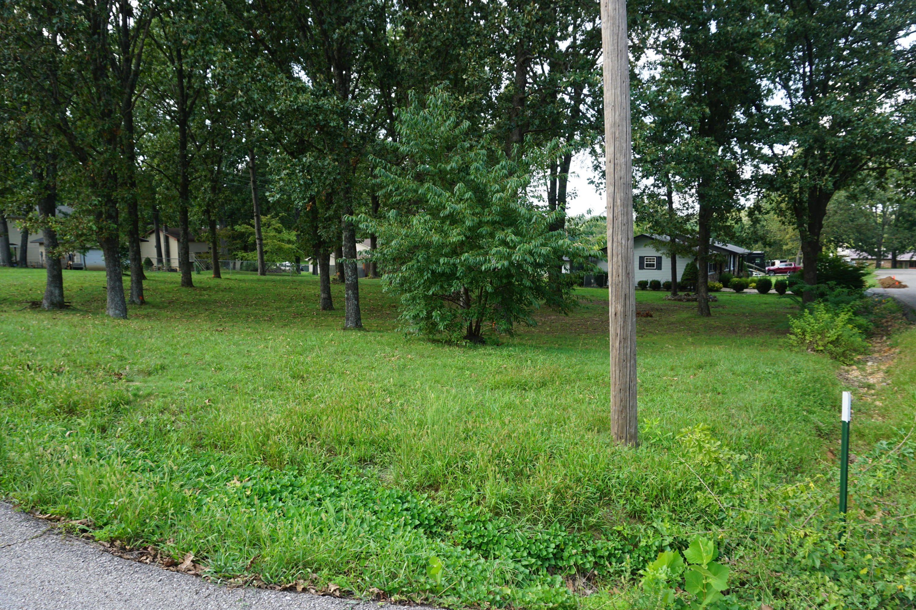 Photo 6 - Land for sale – 000  Joann Drive   West Plains, MO