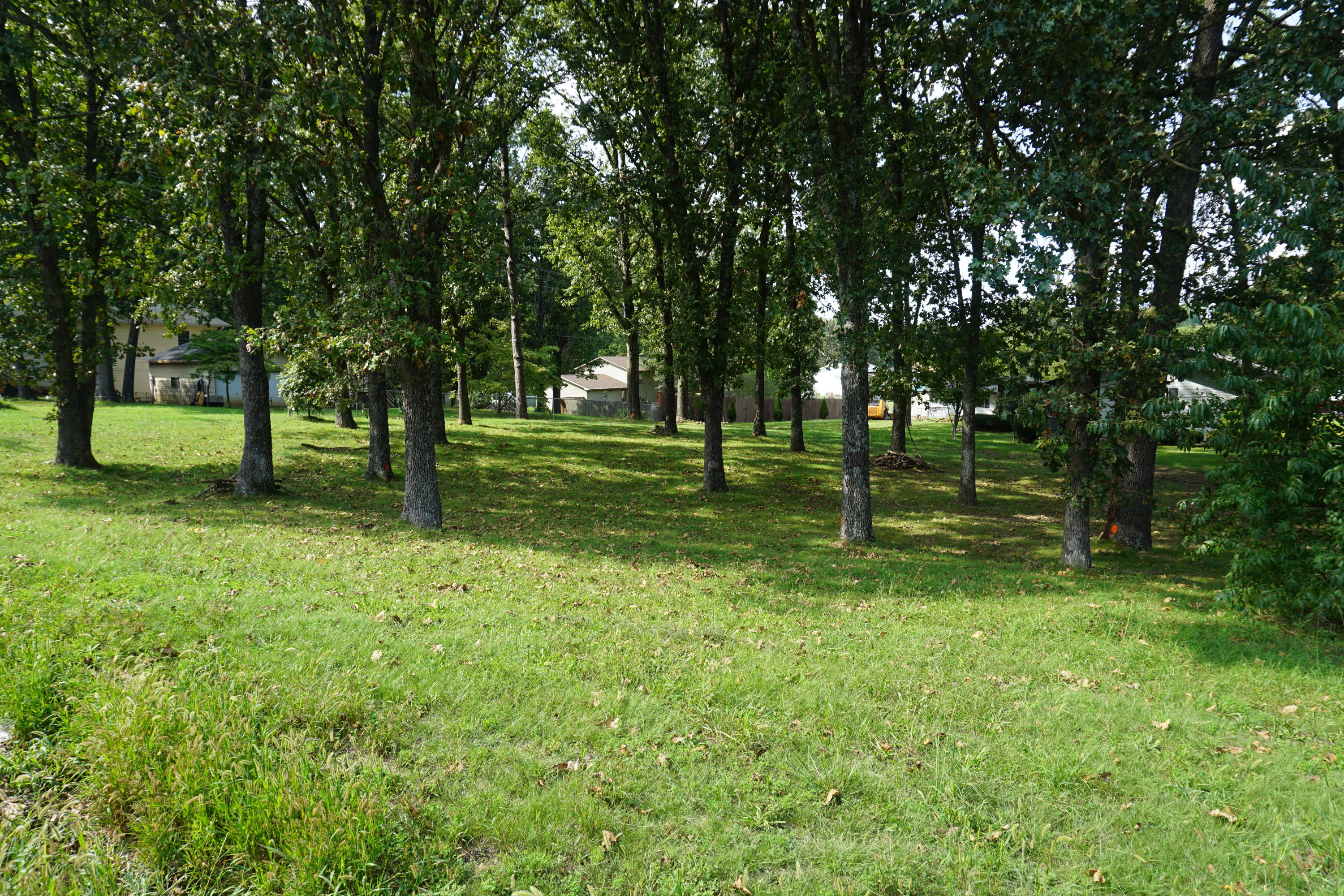 Photo 2 - Land for sale – 000  Joann Drive   West Plains, MO