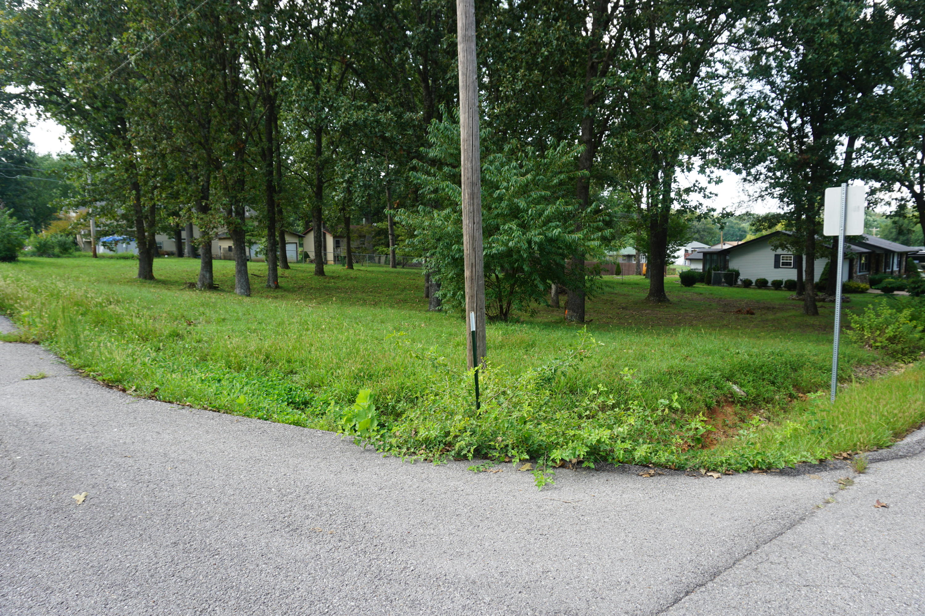 Photo 7 - Land for sale – 000  Joann Drive   West Plains, MO