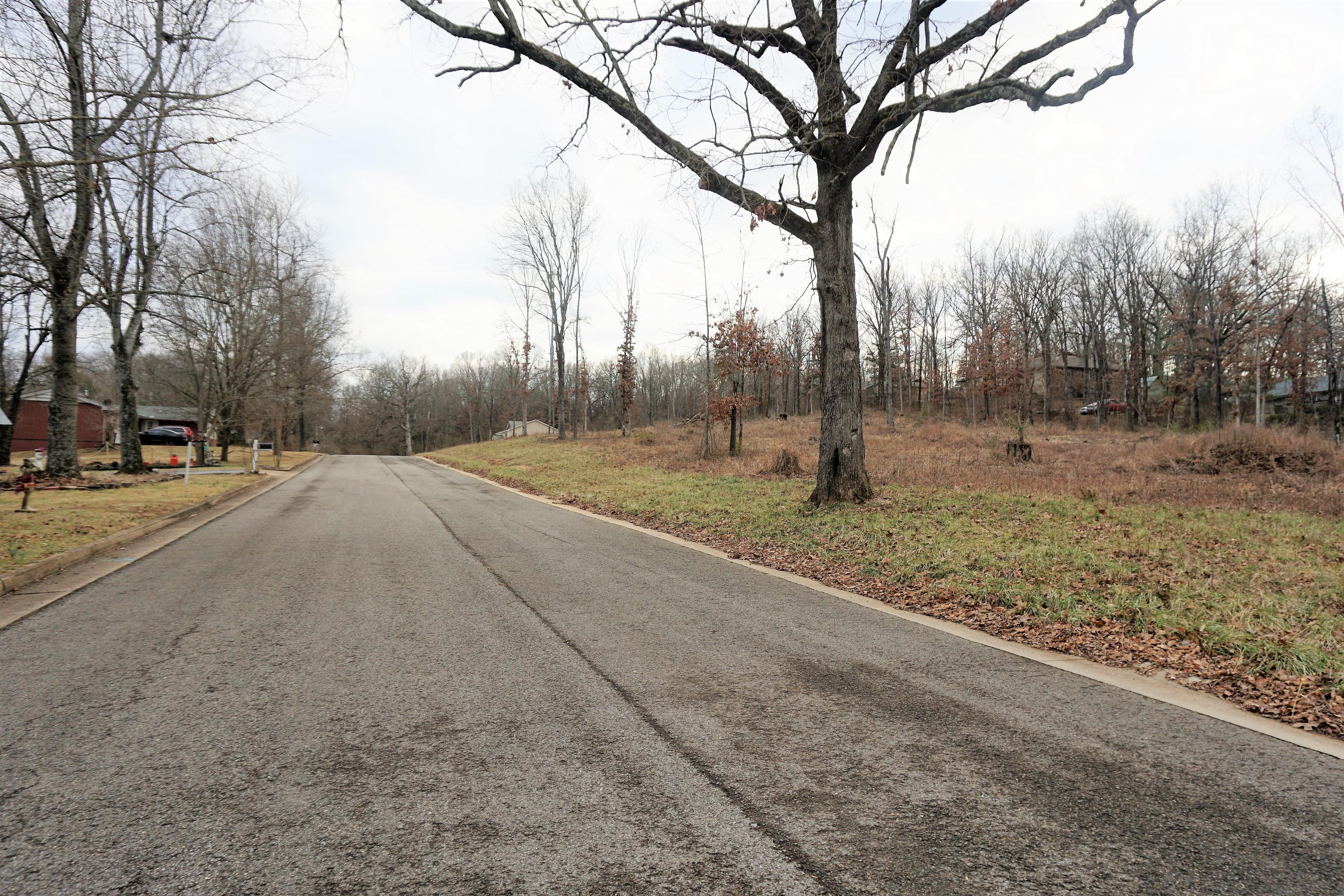 Photo 4 - Land for sale – 215 Or 217  S. Utah Ave   West Plains, MO