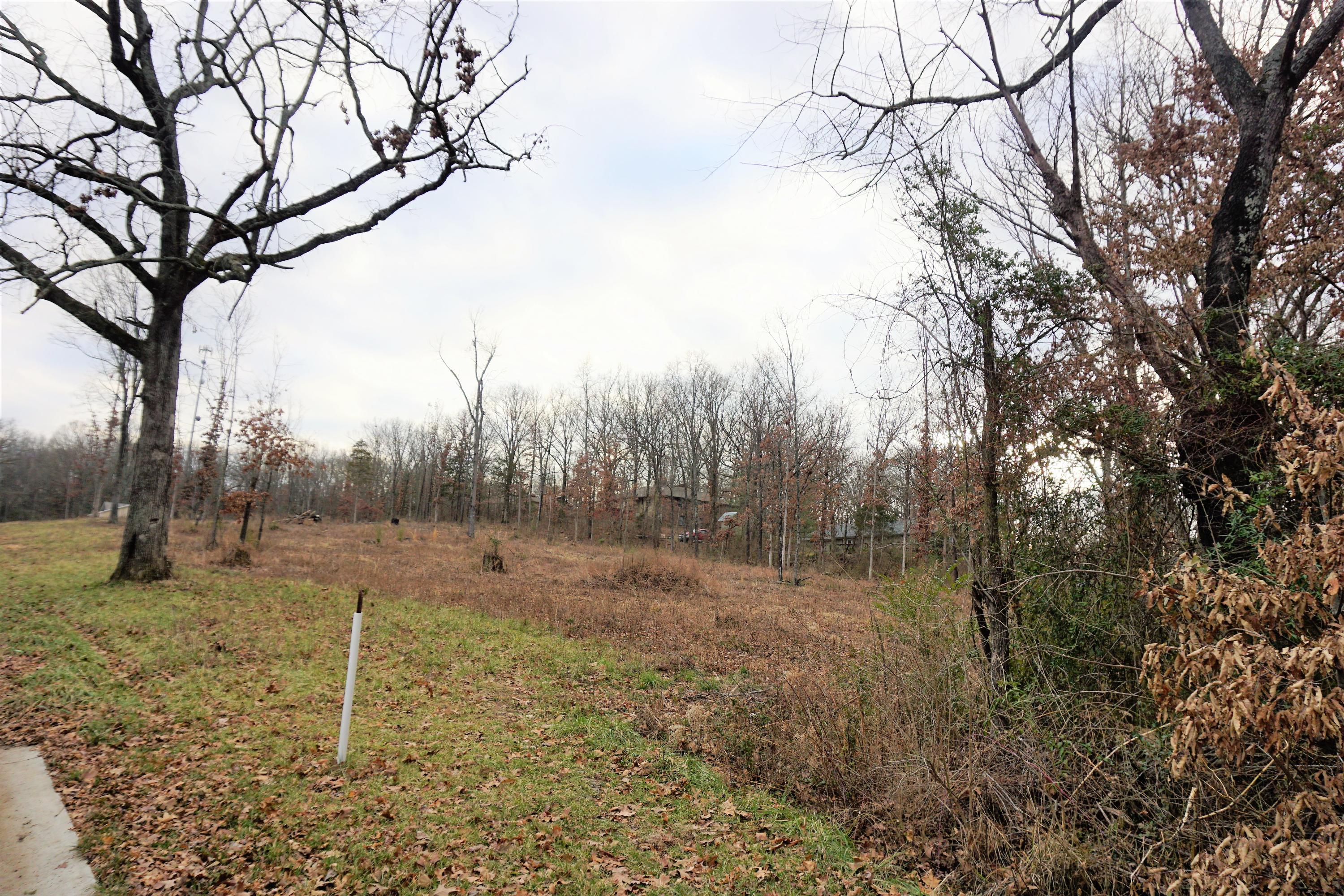 Land for sale – 215 Or 217  S. Utah Ave   West Plains, MO