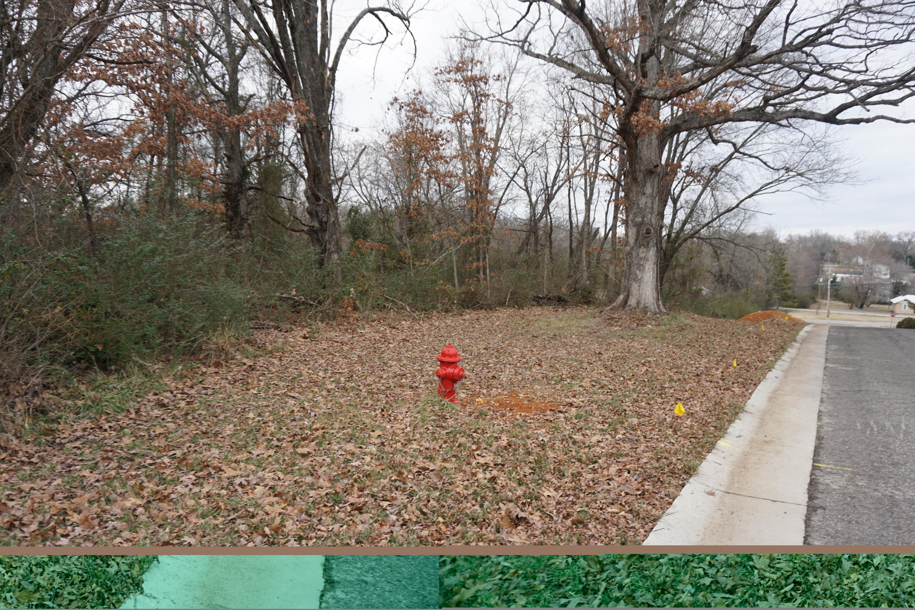 Photo 6 - Land for sale – 215 Or 217  S. Utah Ave   West Plains, MO