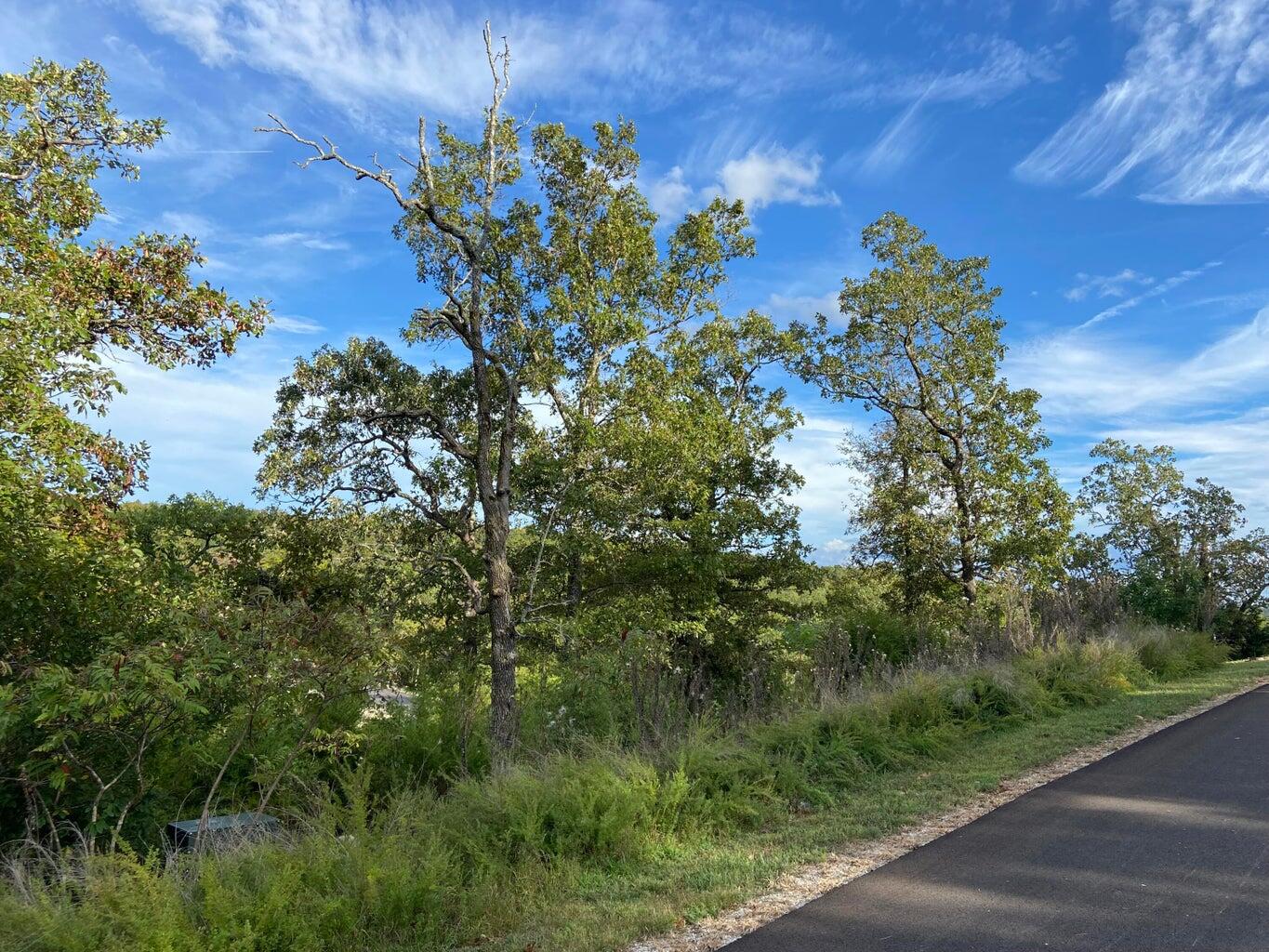 Photo 6 - Land for sale – Lot 244  Blue Lake   Branson West, MO