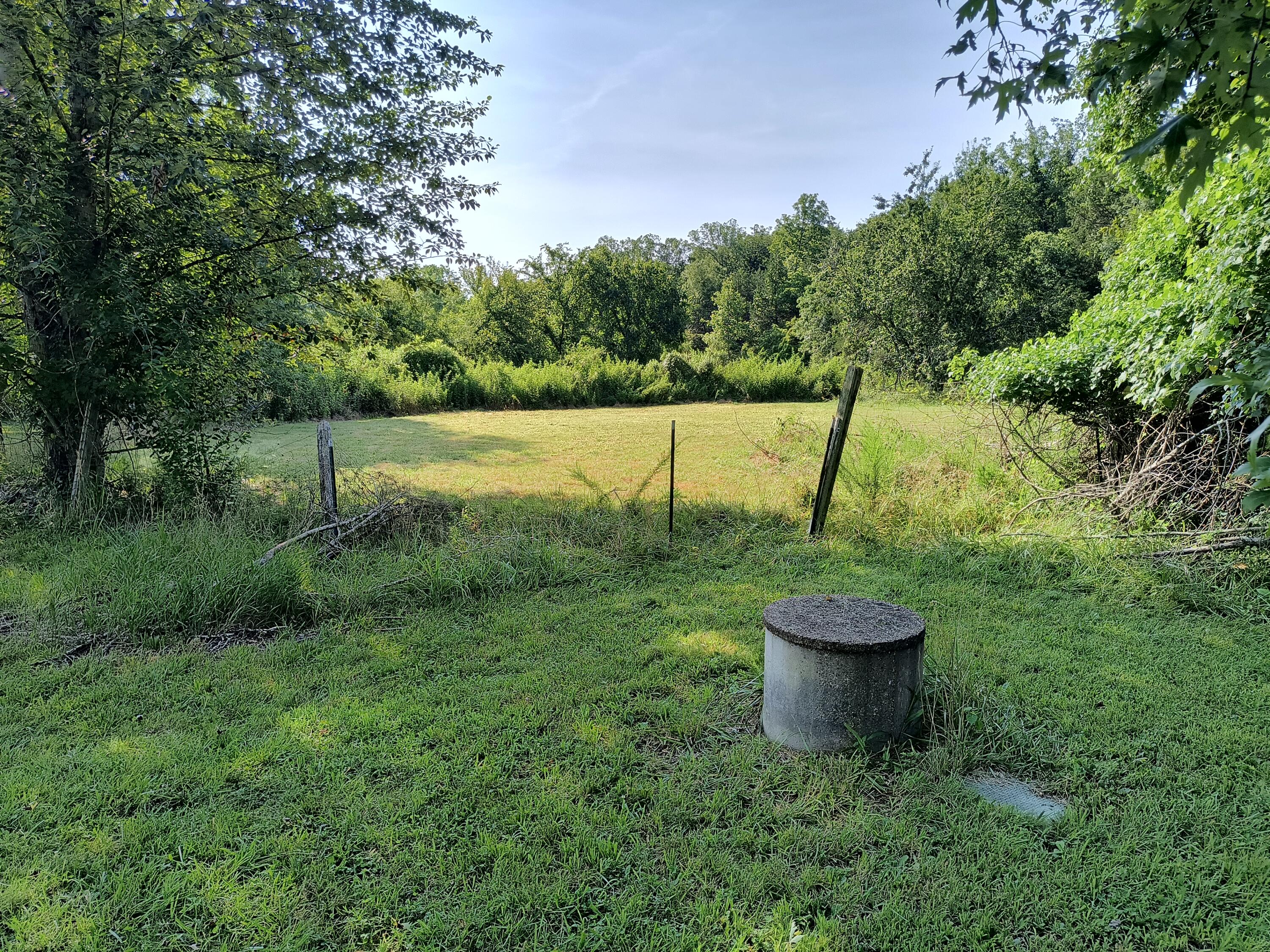 Photo 4 - Residential for sale – 201  Barrett Hollow Lane   Gainesville, MO