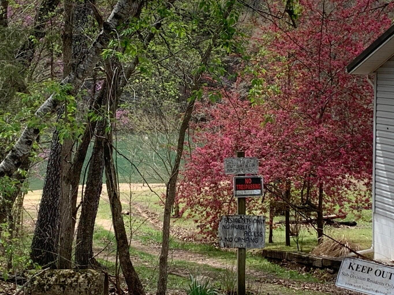 Photo 3 - Land for sale – Lot 29  Cumberland Road  Shell Knob, MO