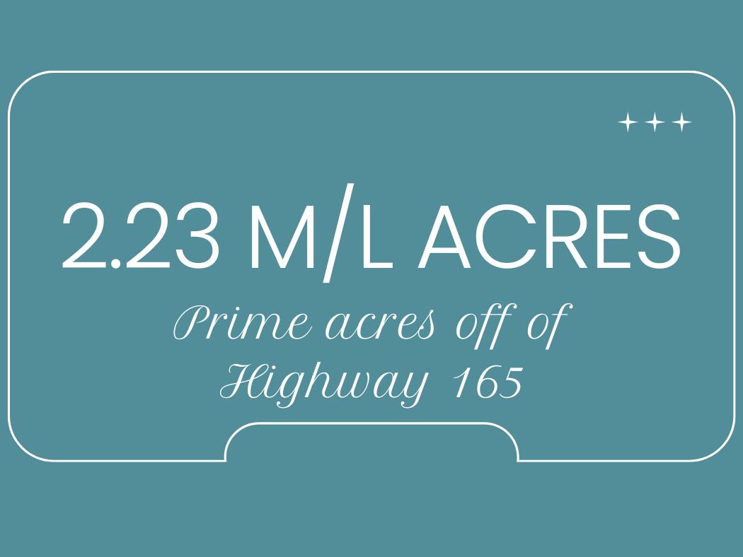 Photo 4 - Land for sale – 2.23 M/L  Van Buren   Branson, MO