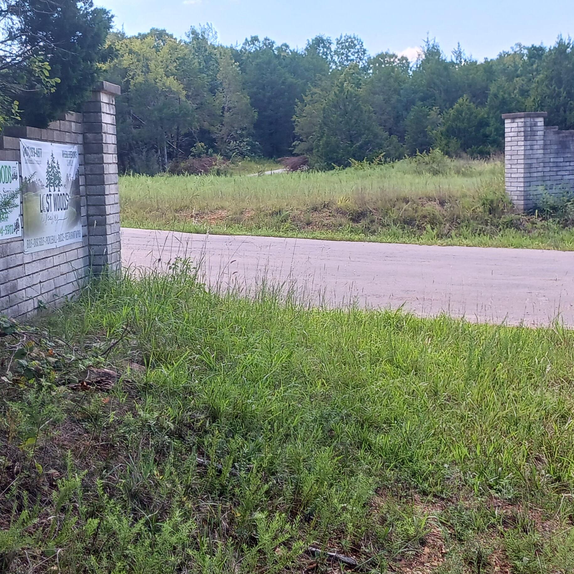 Photo 14 - Land for sale – #37,38,39  000 Meadow Lane  Theodosia, MO