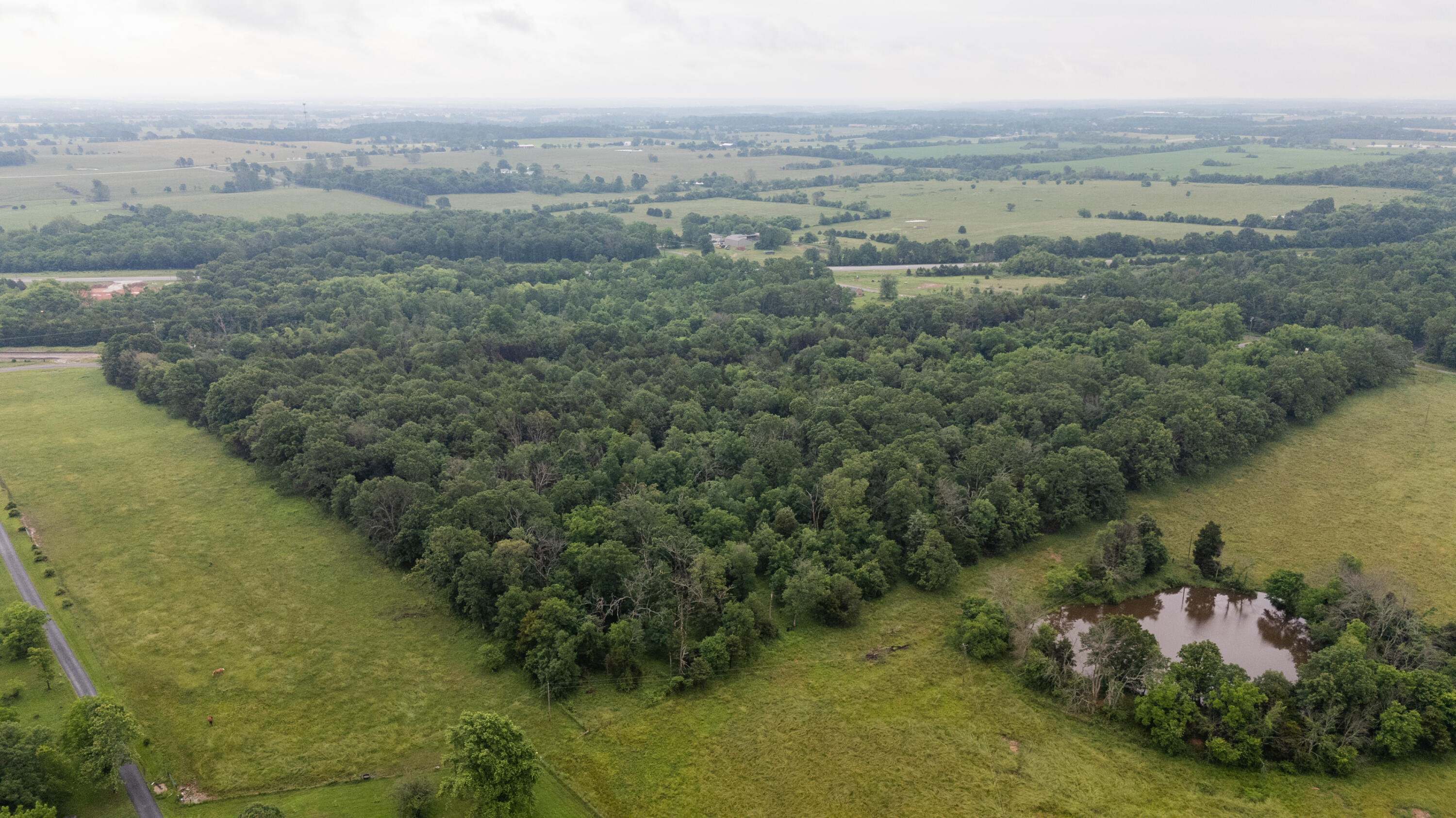 Photo 6 - Land for sale – 000  Vermule Road  Billings, MO